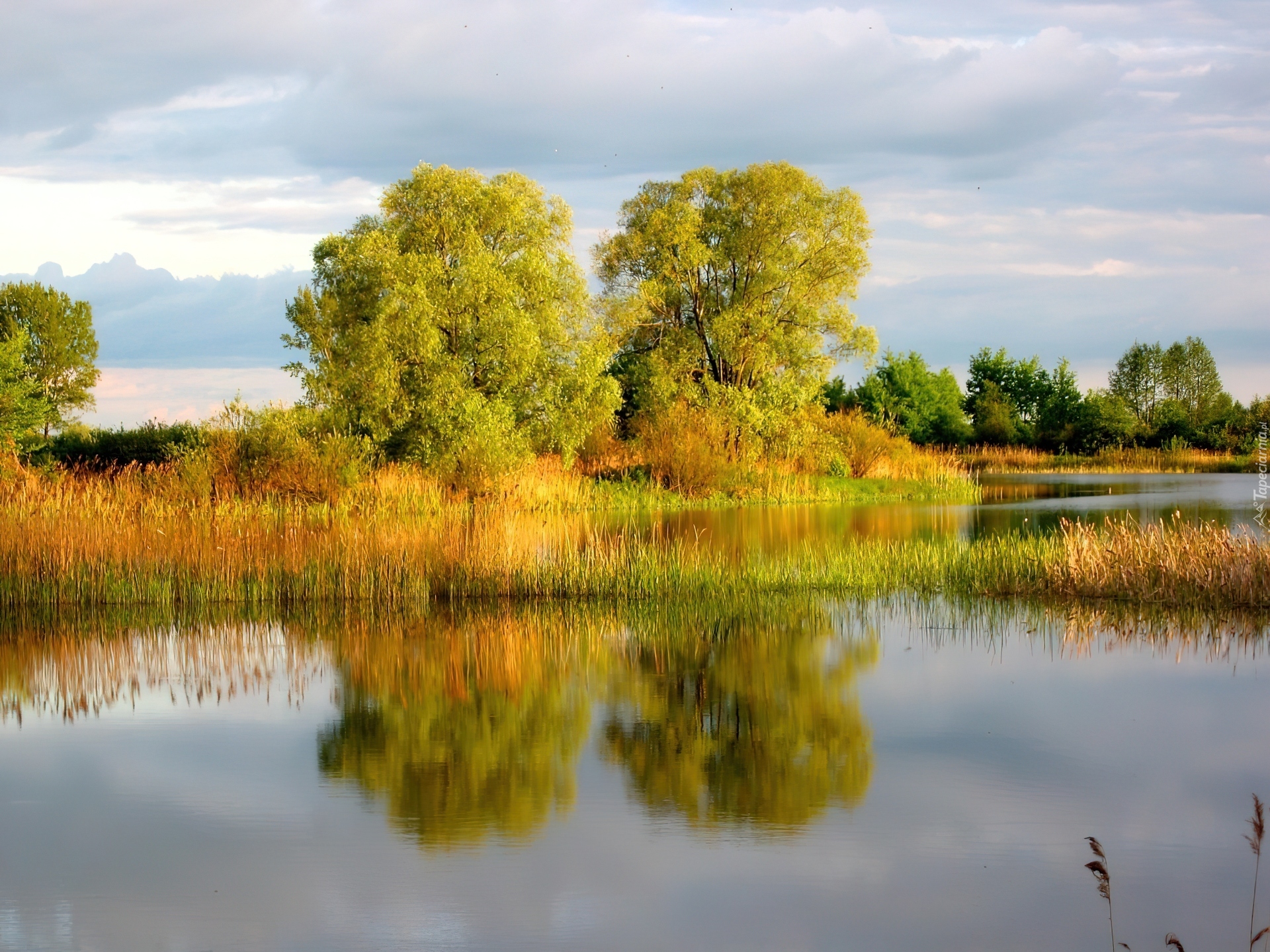 Wiosna, Trzciny, Jezioro