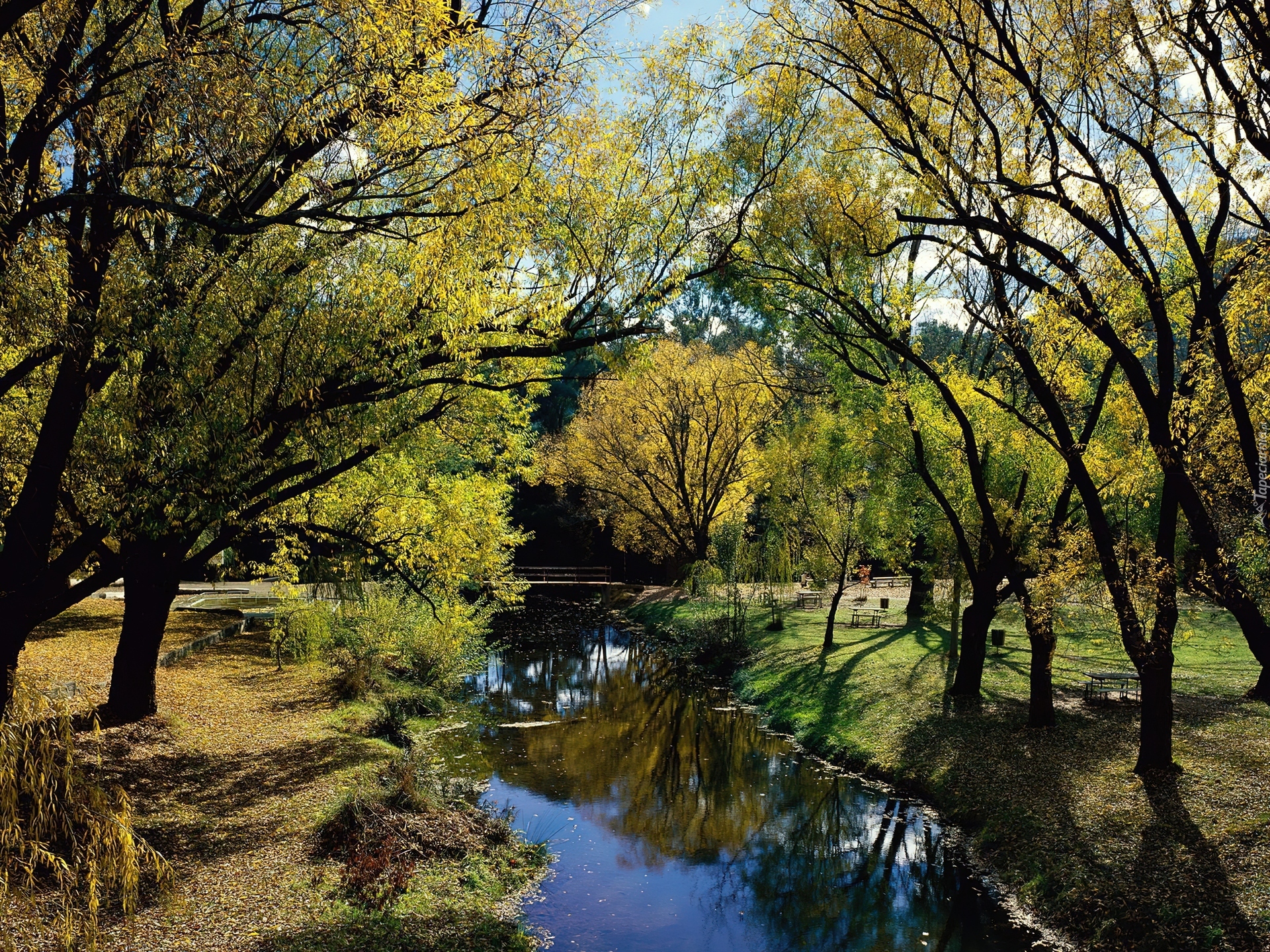 Park, Morses, Creek, Wiosna