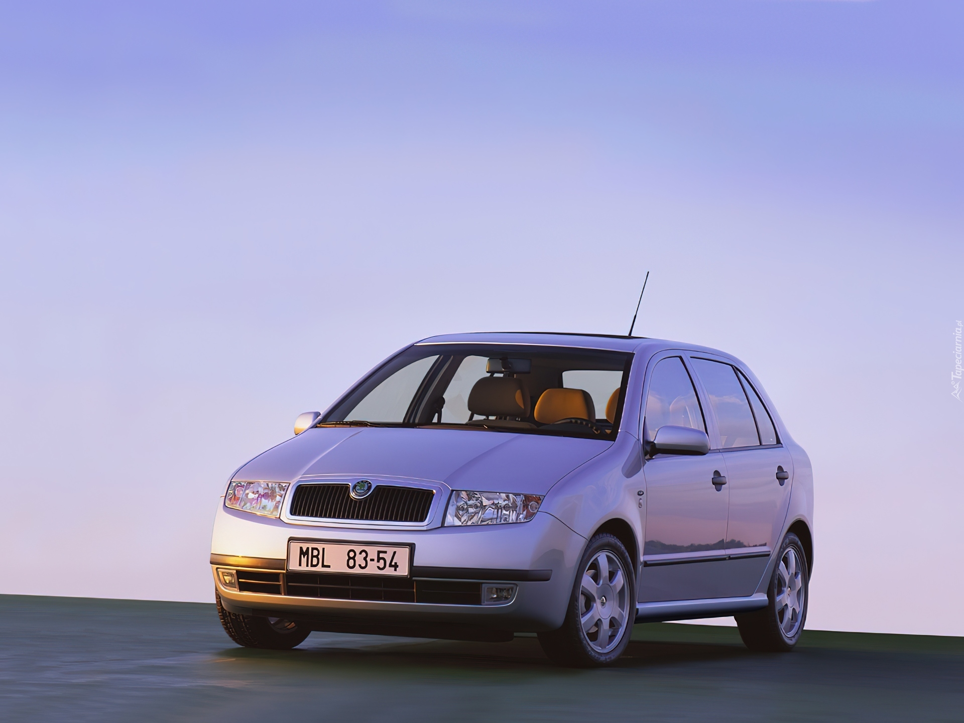 Отзывы шкода фабия 1.4. Skoda Fabia 1. Фабия 1 поколение. Шкода Фабия 1 хэтчбек. Skoda Fabia 1.2.