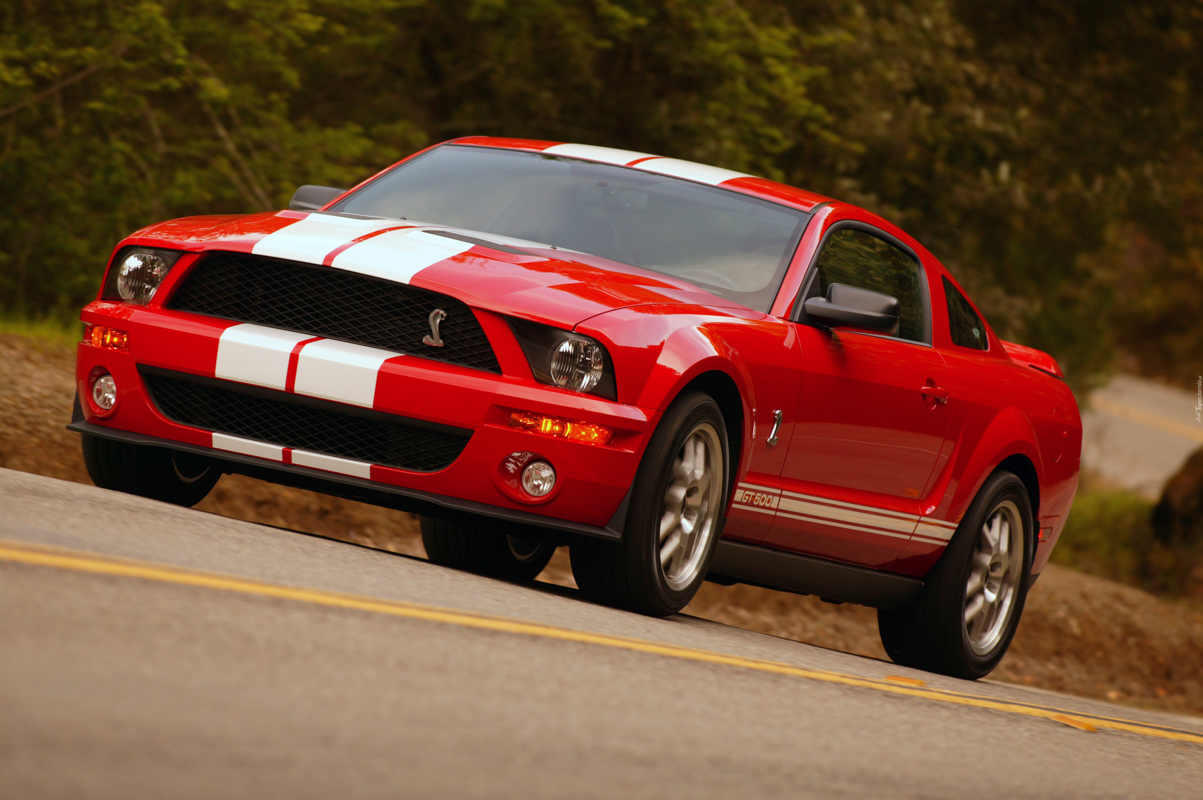 Форд мустанг кобра. Форд Мустанг gt 500. Ford Shelby Cobra gt500. Форд Мустанг gt 500 Shelby. Форд Мустанг Шелби Кобра.