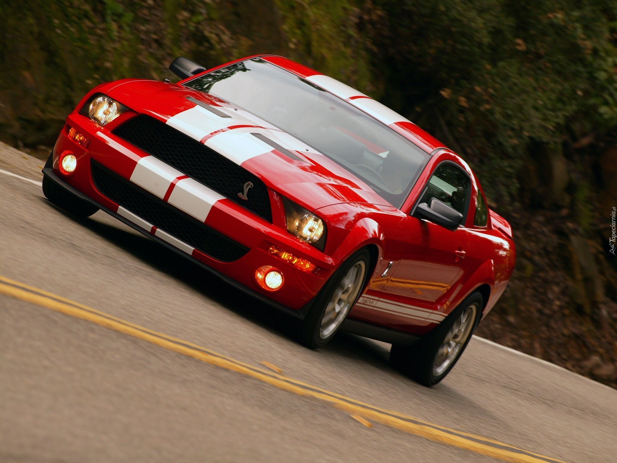 Shelby, Ford Mustang