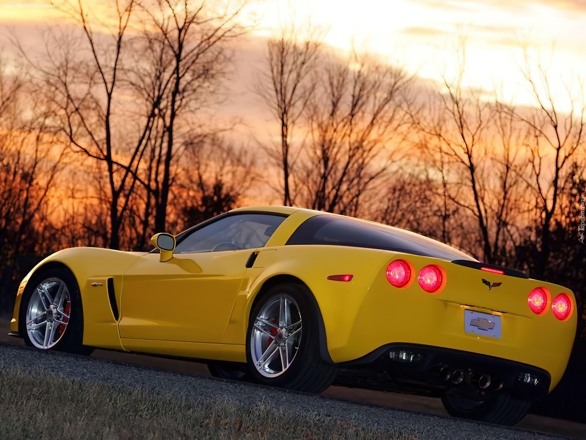 Chevrolet Corvette Z06, Lampy, Tył