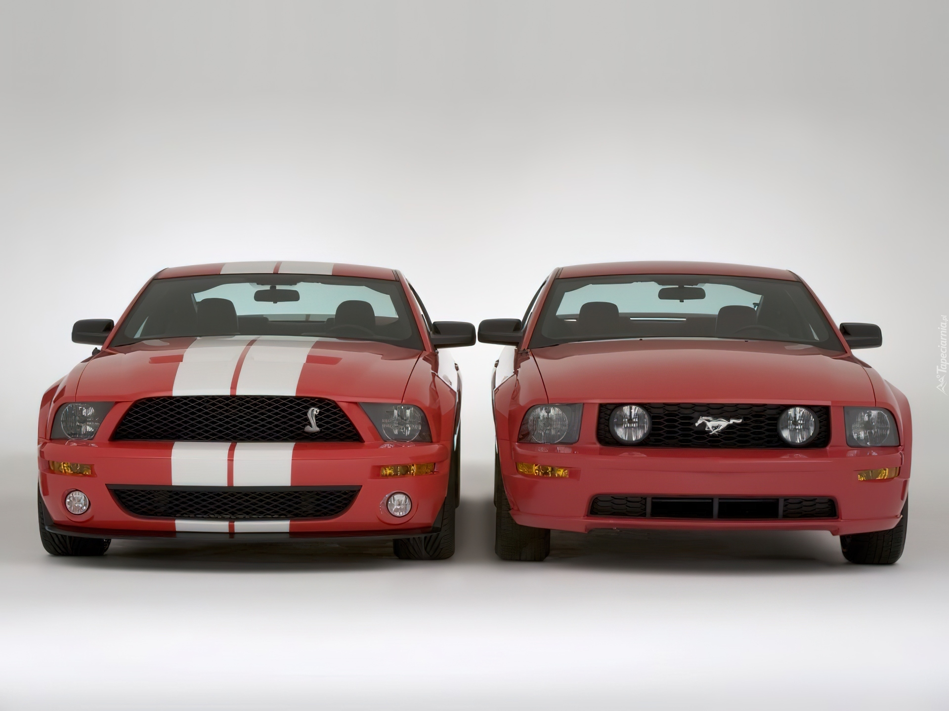 Ford Mustang i GT500