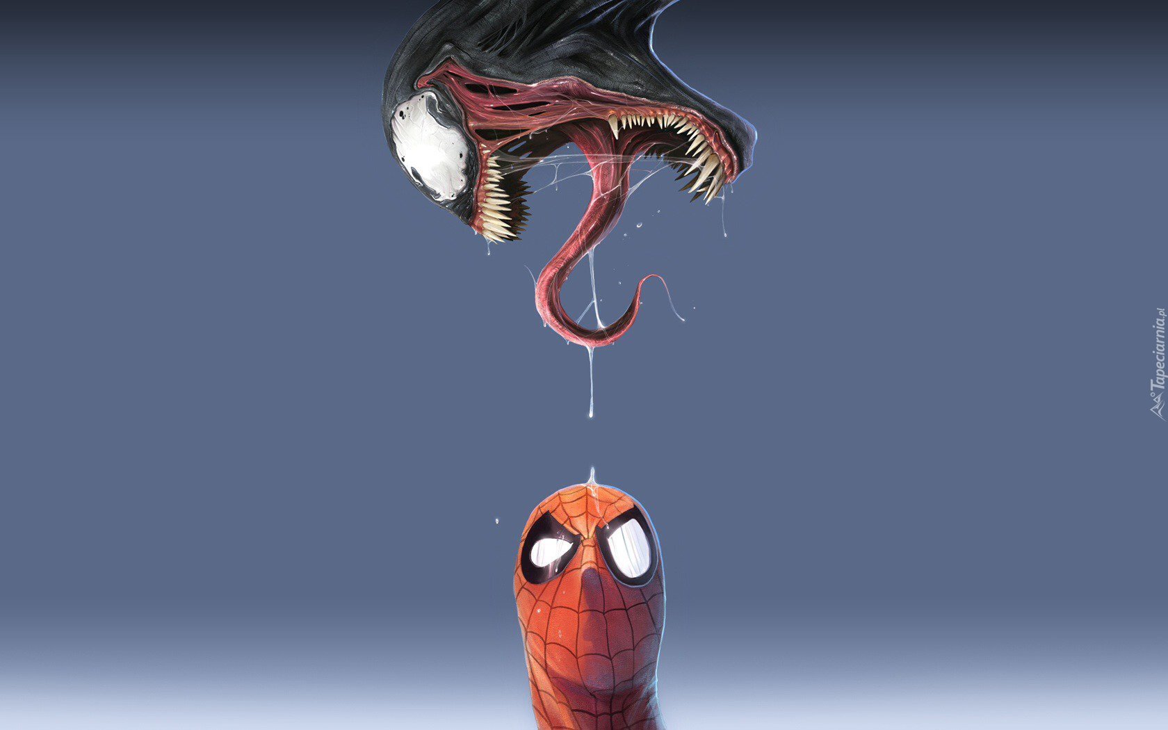 Człowiek, Pająk, Spider-Man, Venom
