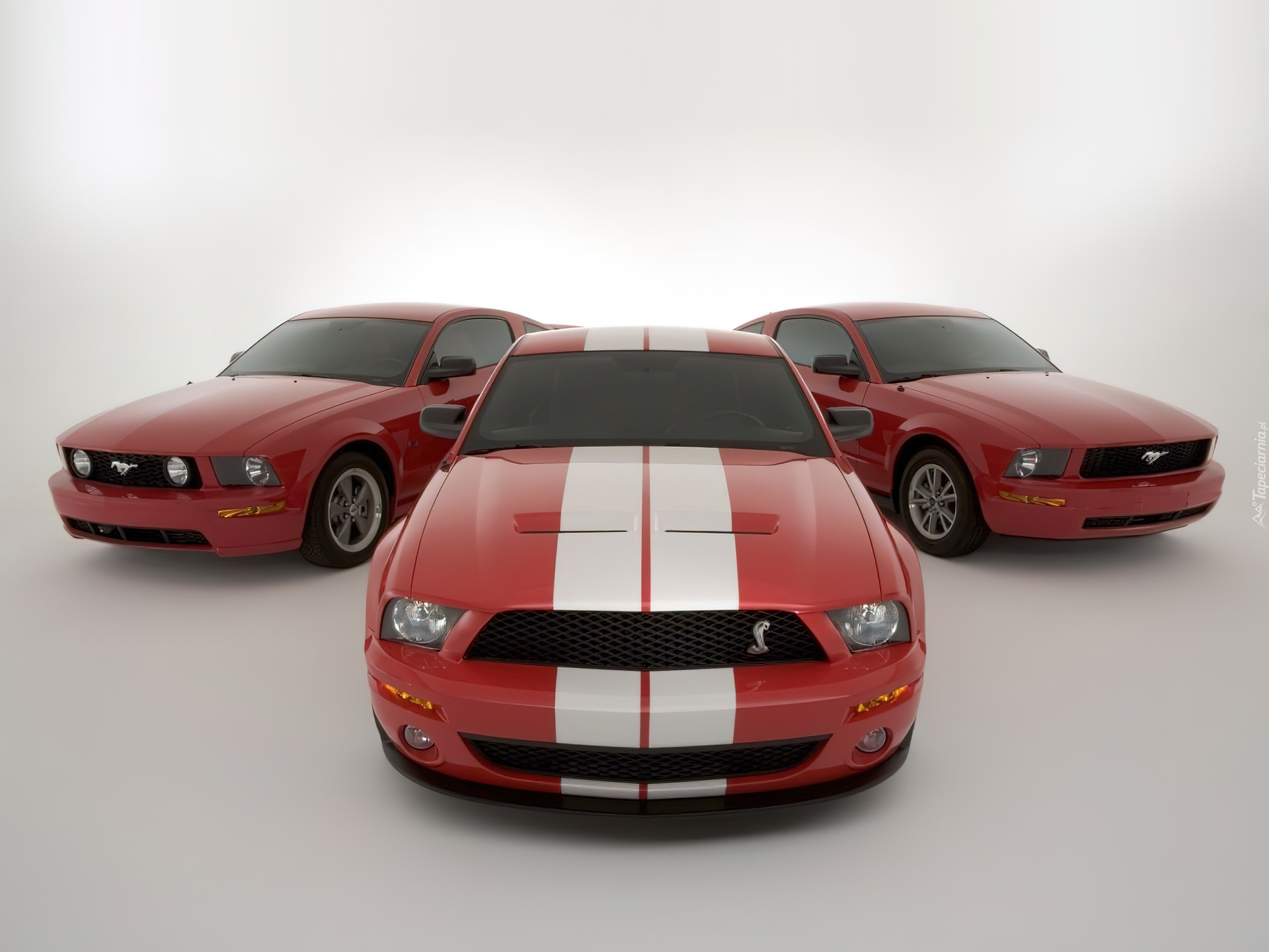 Shelby, Ford Mustang