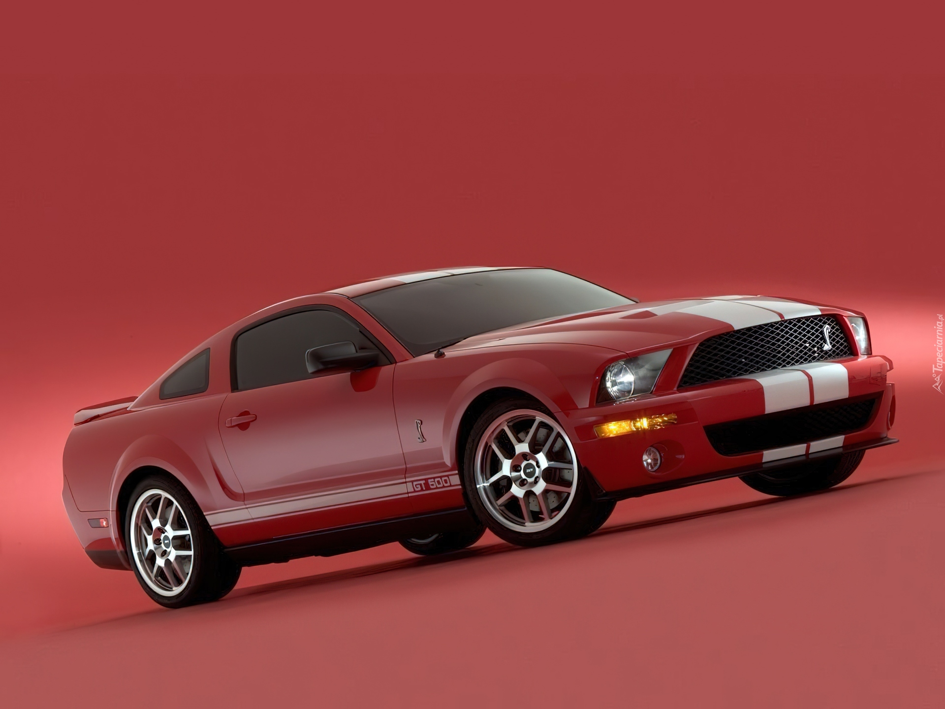 Shelby, Ford Mustang