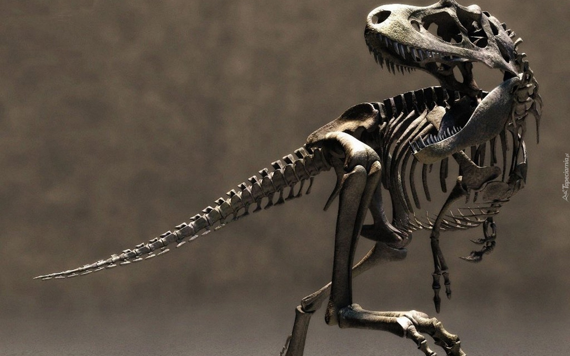 Dinozaur, Szkielet