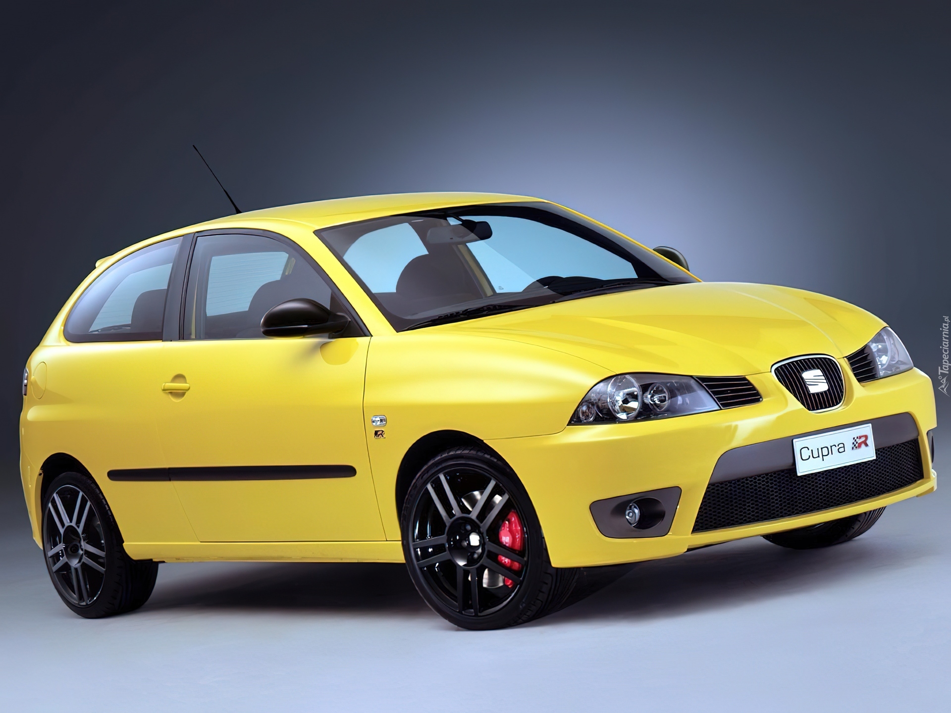 Seat Ibiza, Cupra R