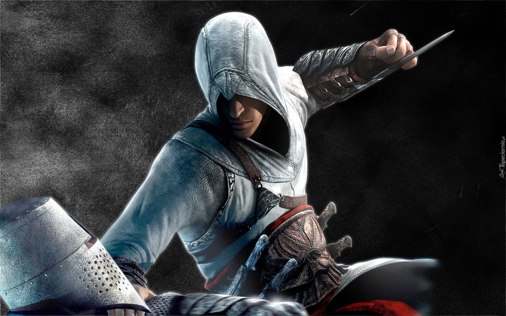 Assasins Creed, Wojownik