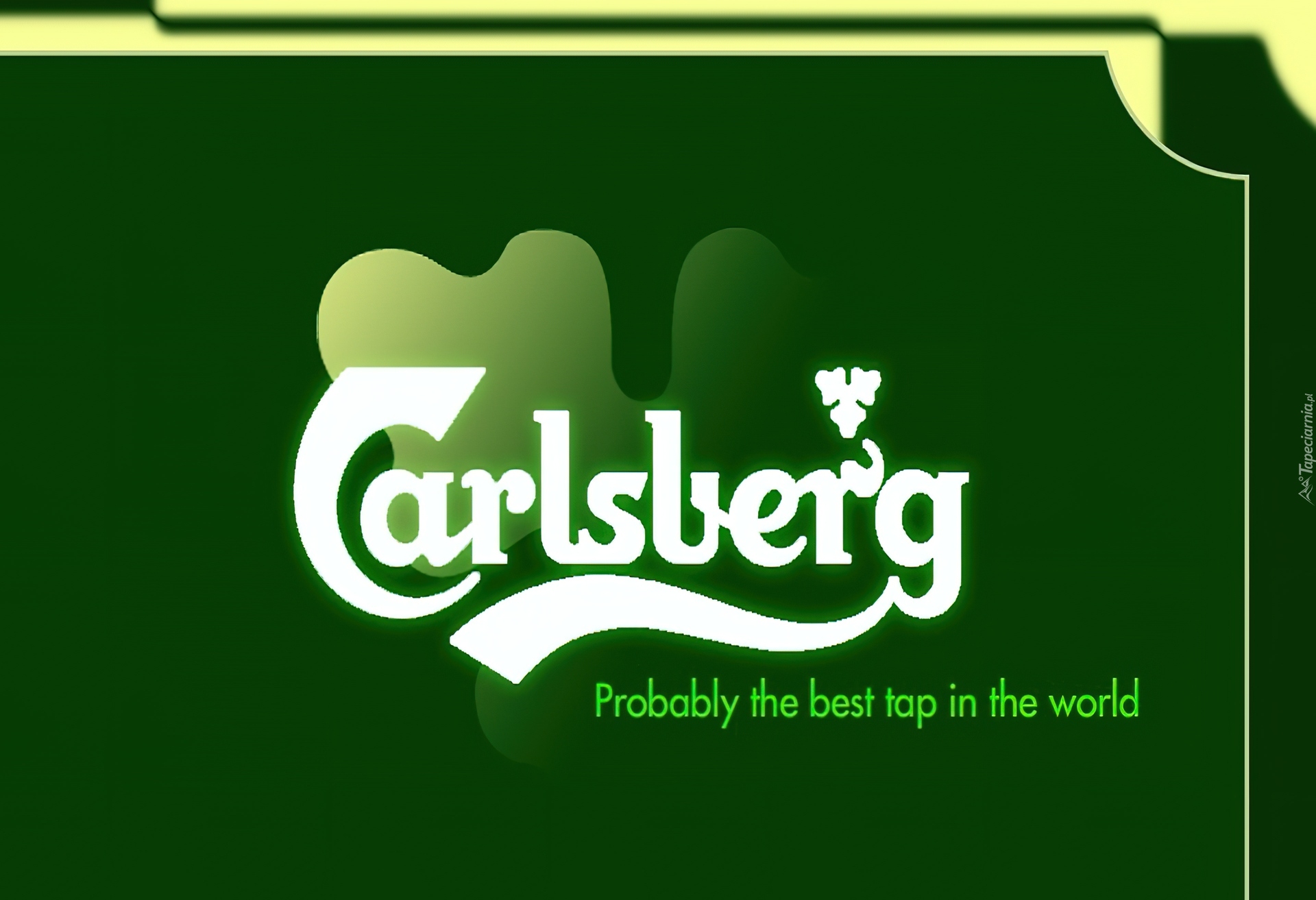 Piwo, Calsberg, Logo, Zielone, Tło