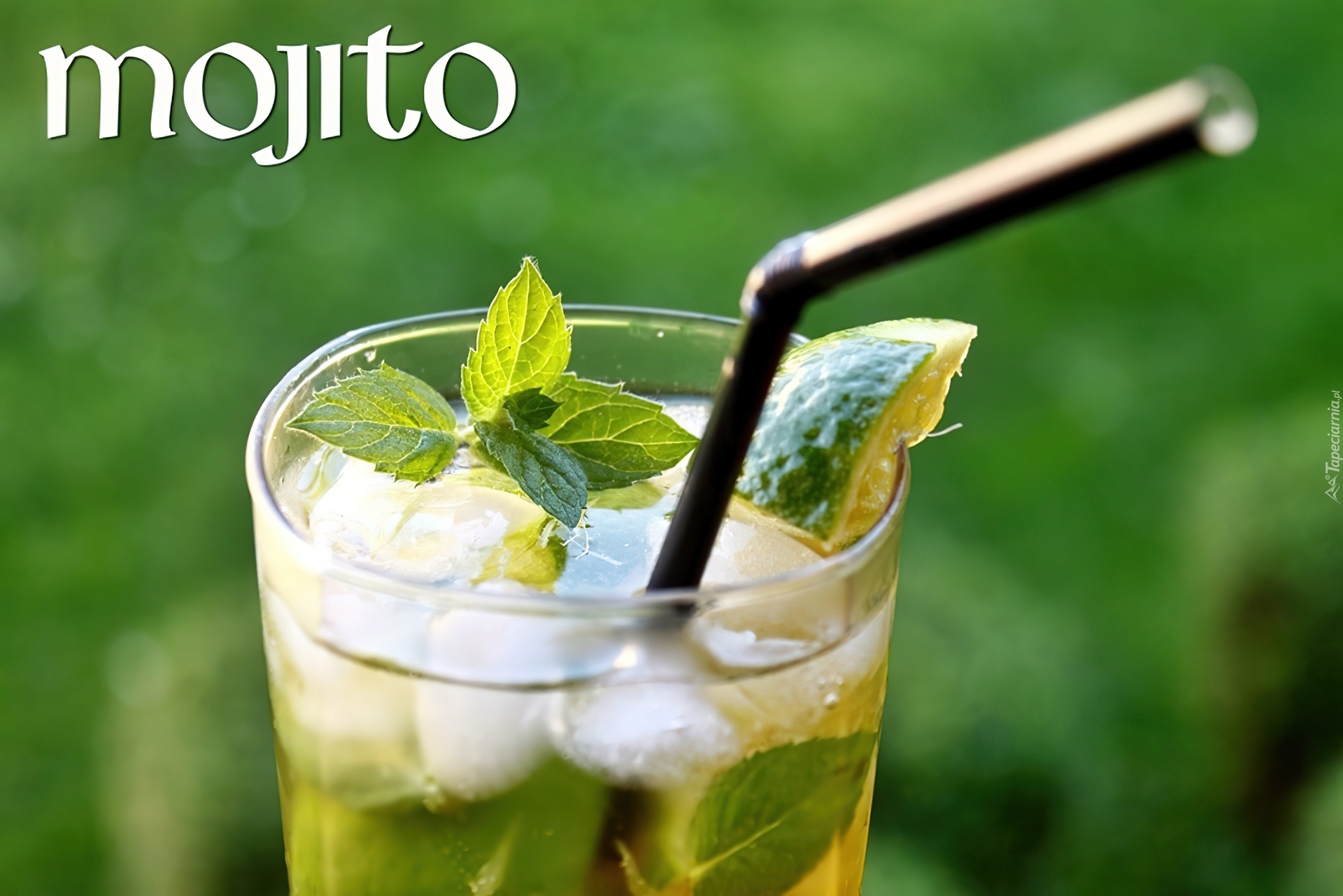 Drink, Mojito