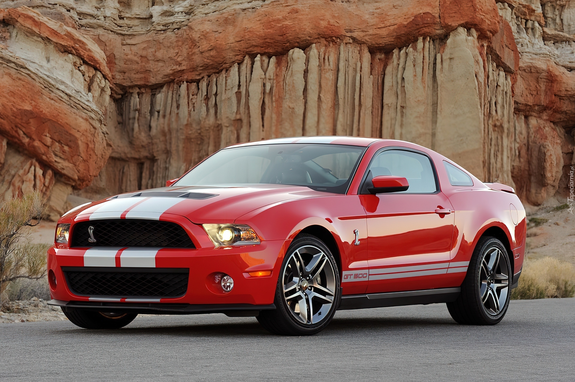 Ford Mustang GT500, Shelby