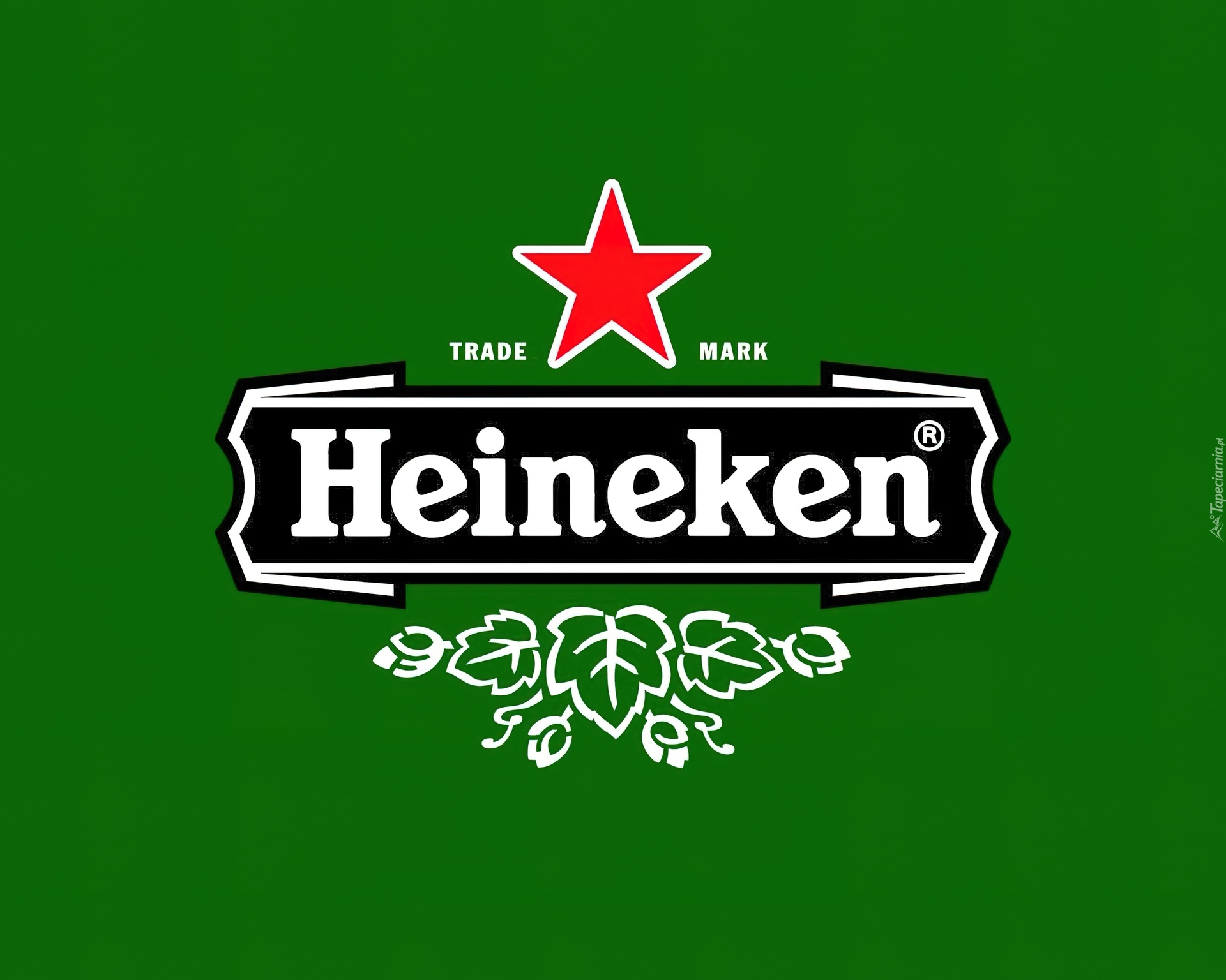 Heineken, Znak, Firmowy