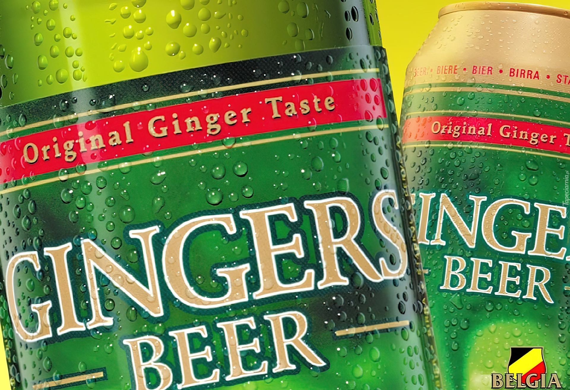 Gingers Beer, Piwo