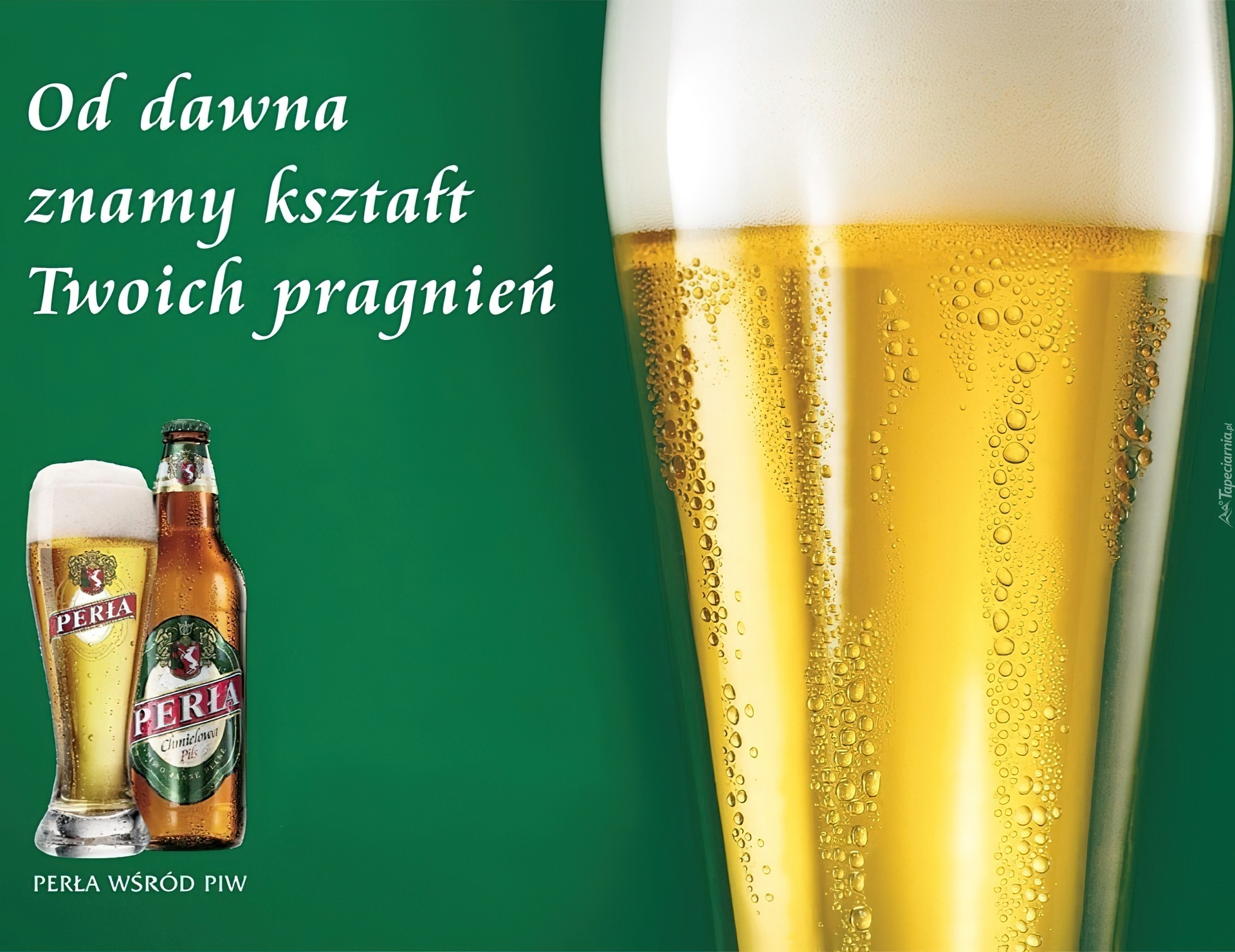 Kufel, Piwo, Perła