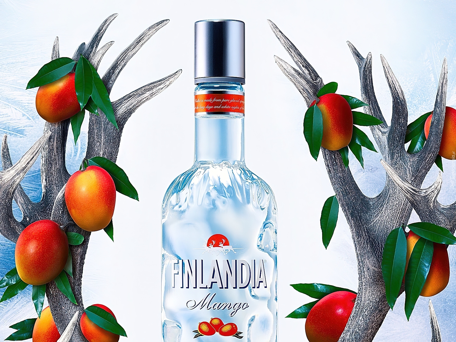 Wódka, Finlandia, Mango