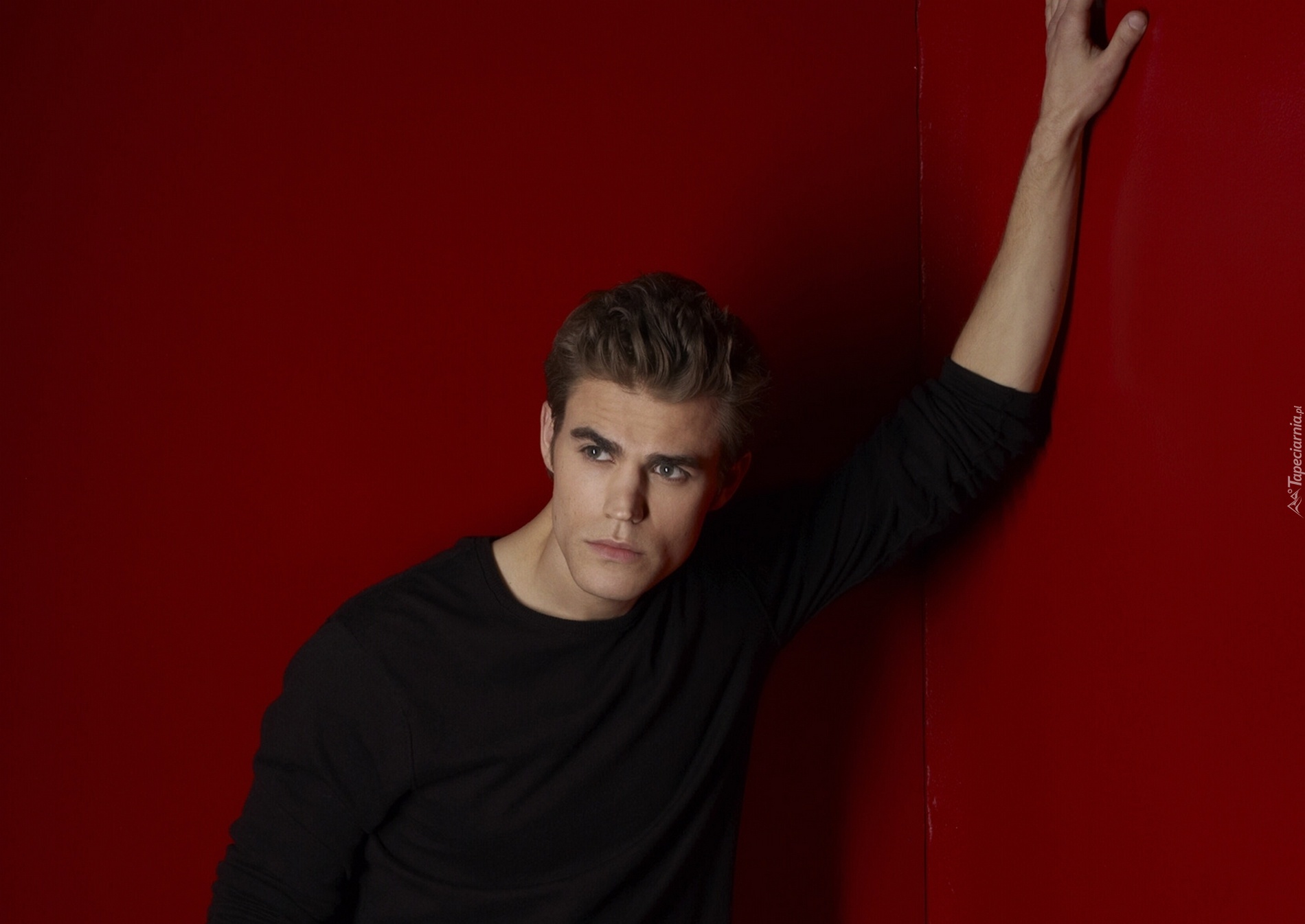 Paul Wesley, Stefan Salvatore