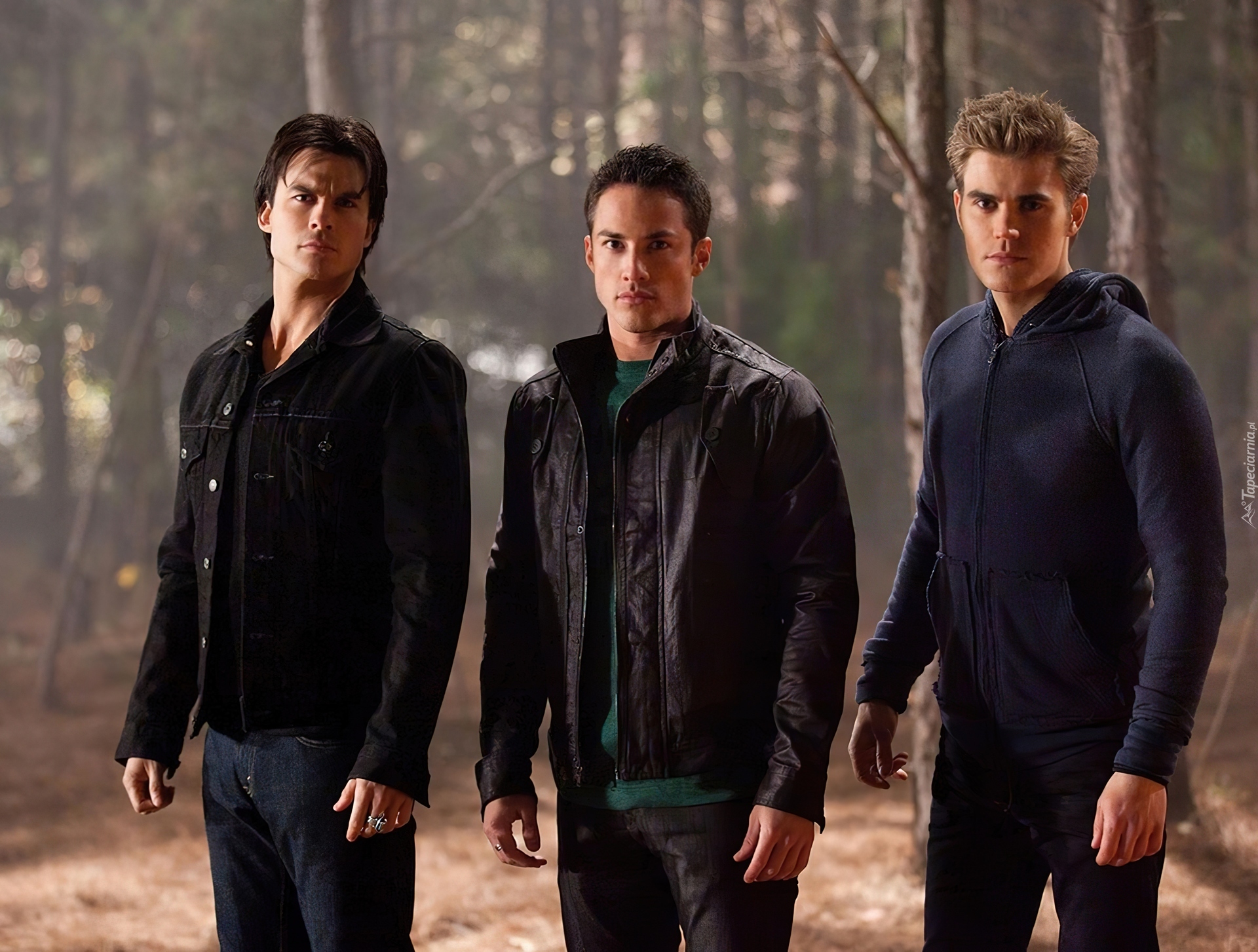 Pamiętniki wampirów, The Vampire Diaries, Ian Somerhalder, Michael Trevino, Paul Wesley