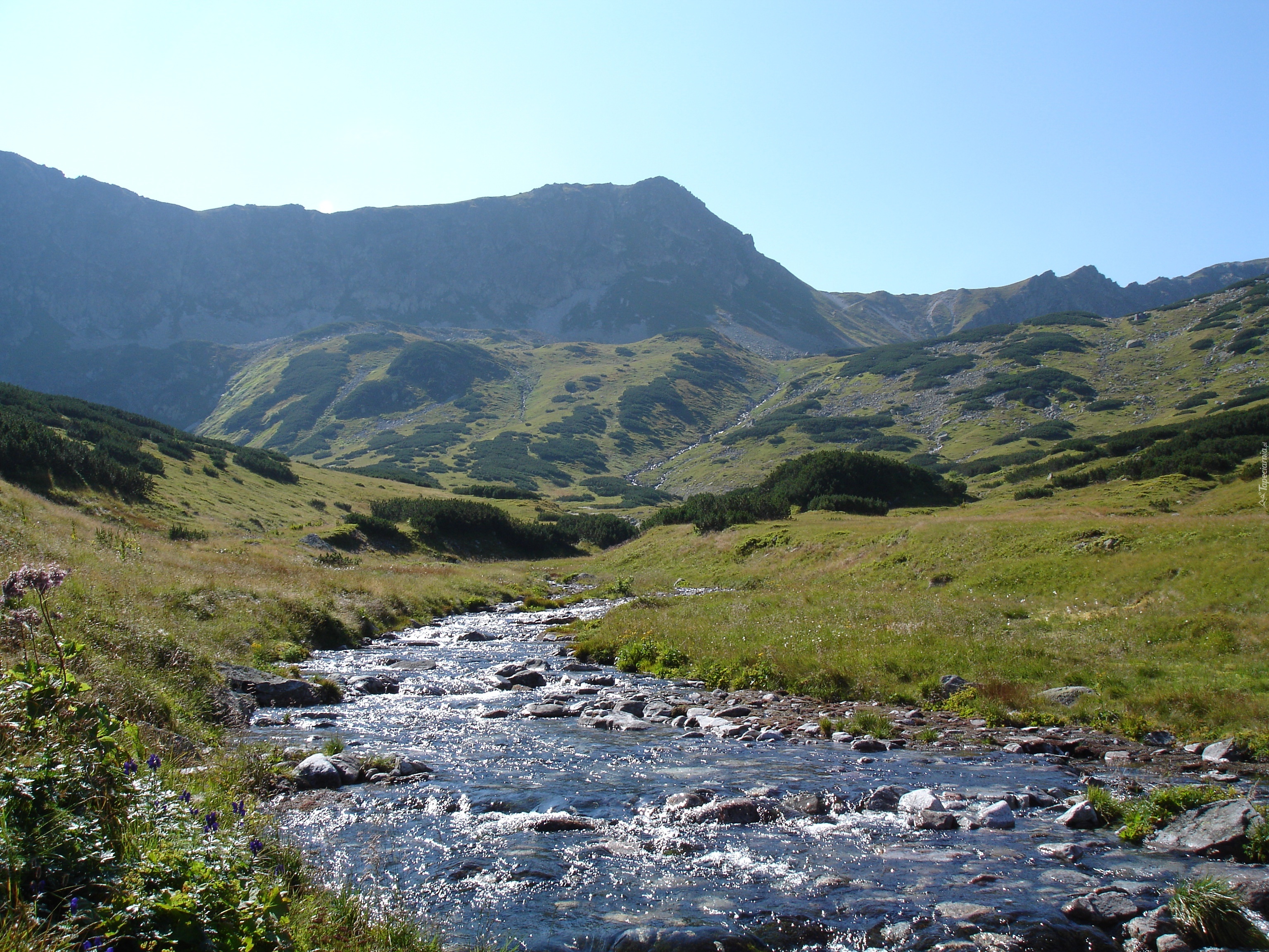 Widok, Na, Tatry