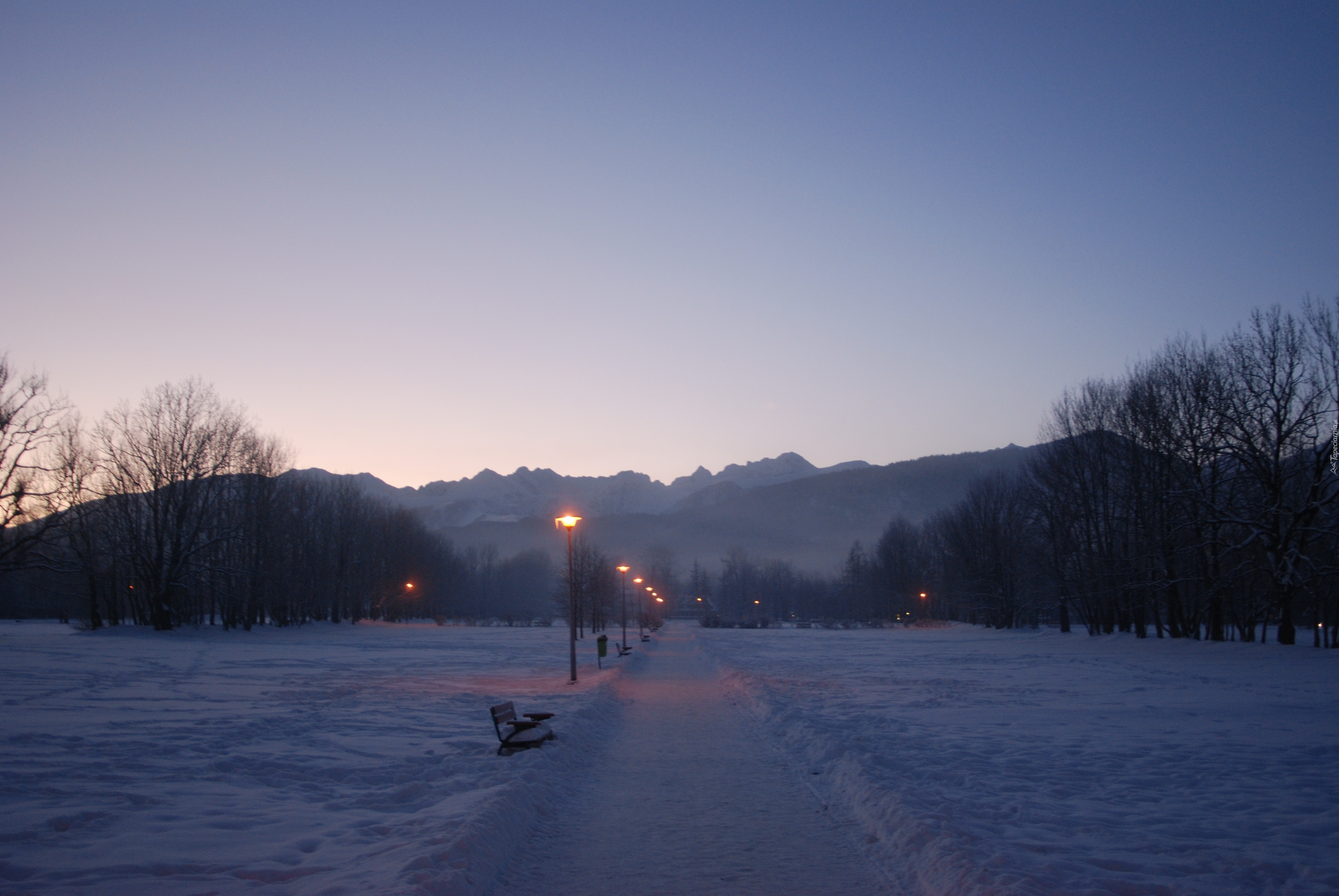 Góry, Zakopane, Zima, Alejka