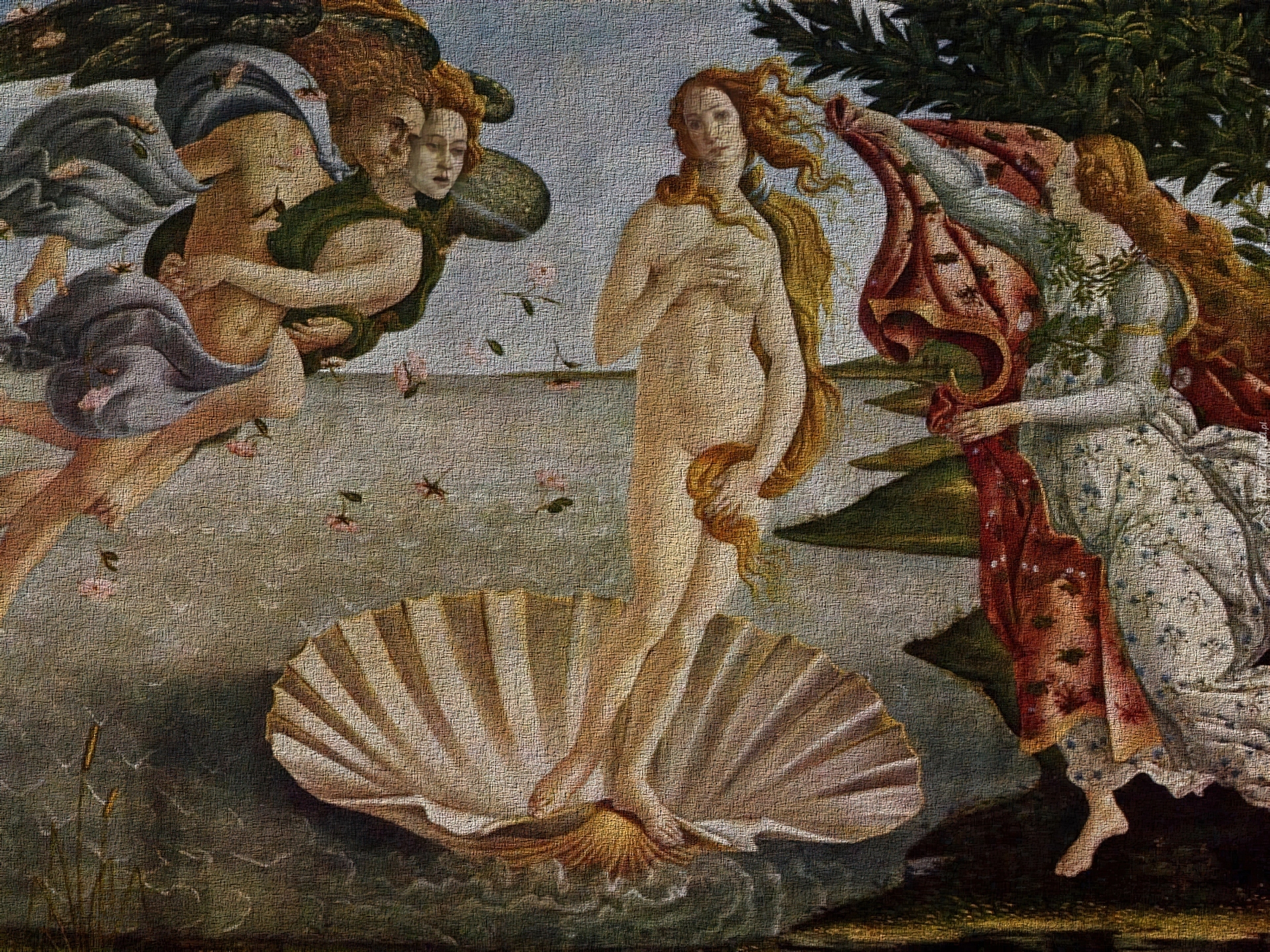 Botticelli, Sandro, Narodziny, Wenus