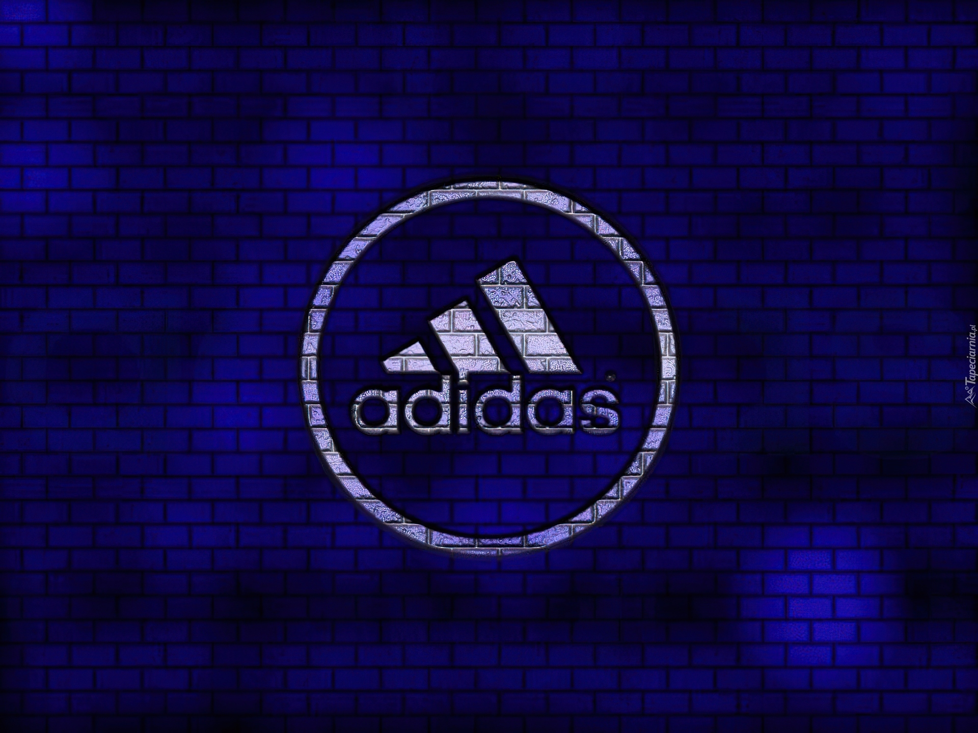 Adidas, Niebieskie, Tło