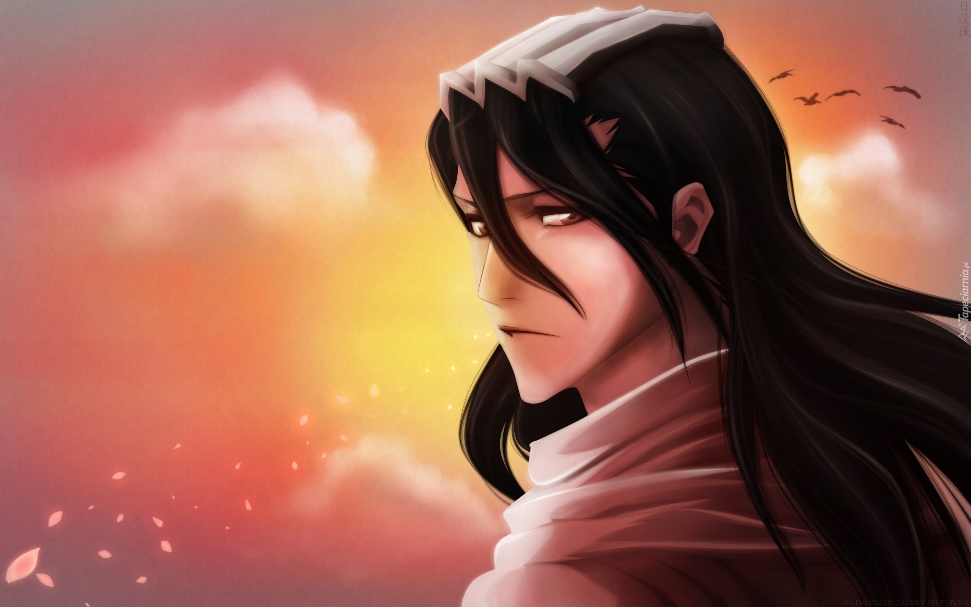 Kuchiki, Byakuya, Bleach