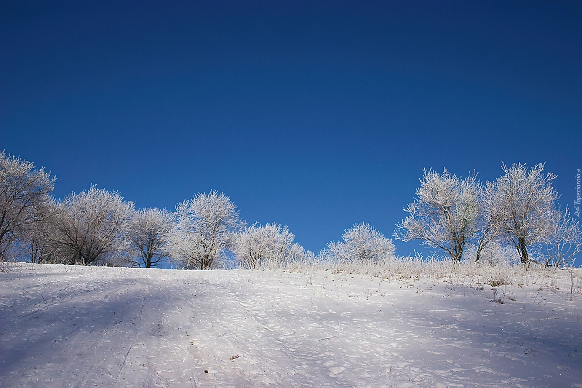 Zima, Pokrywa, Śnieżna