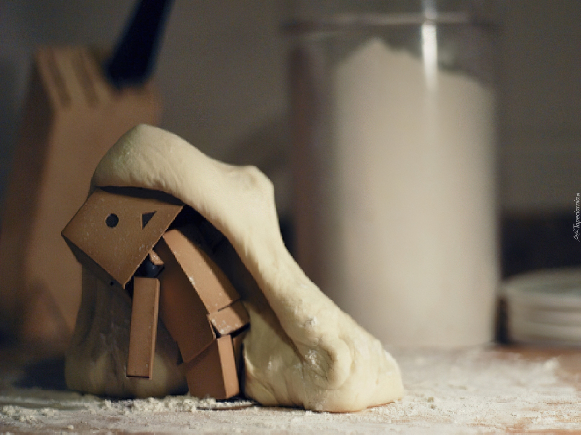 Danbo, Pizza