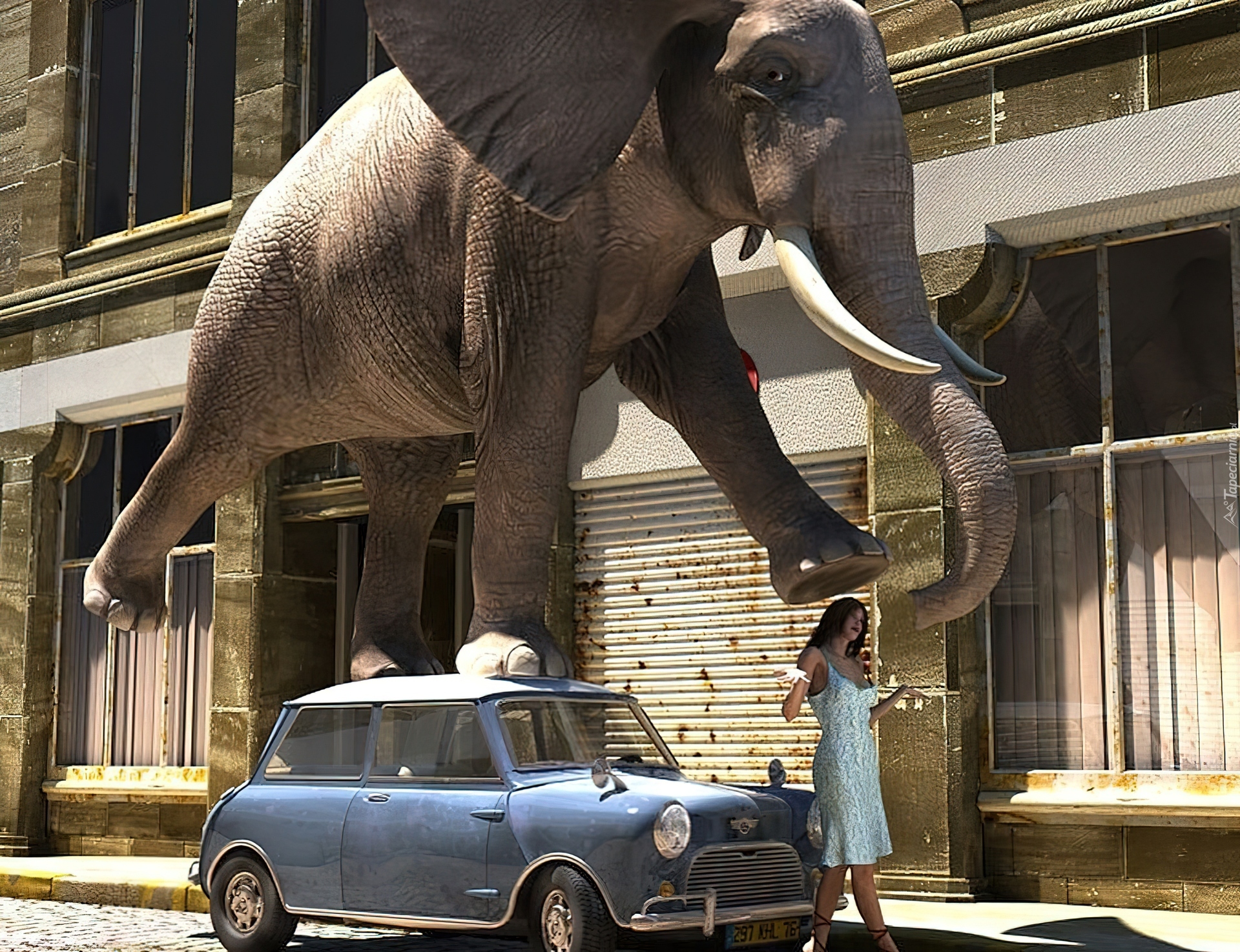 Elephant car
