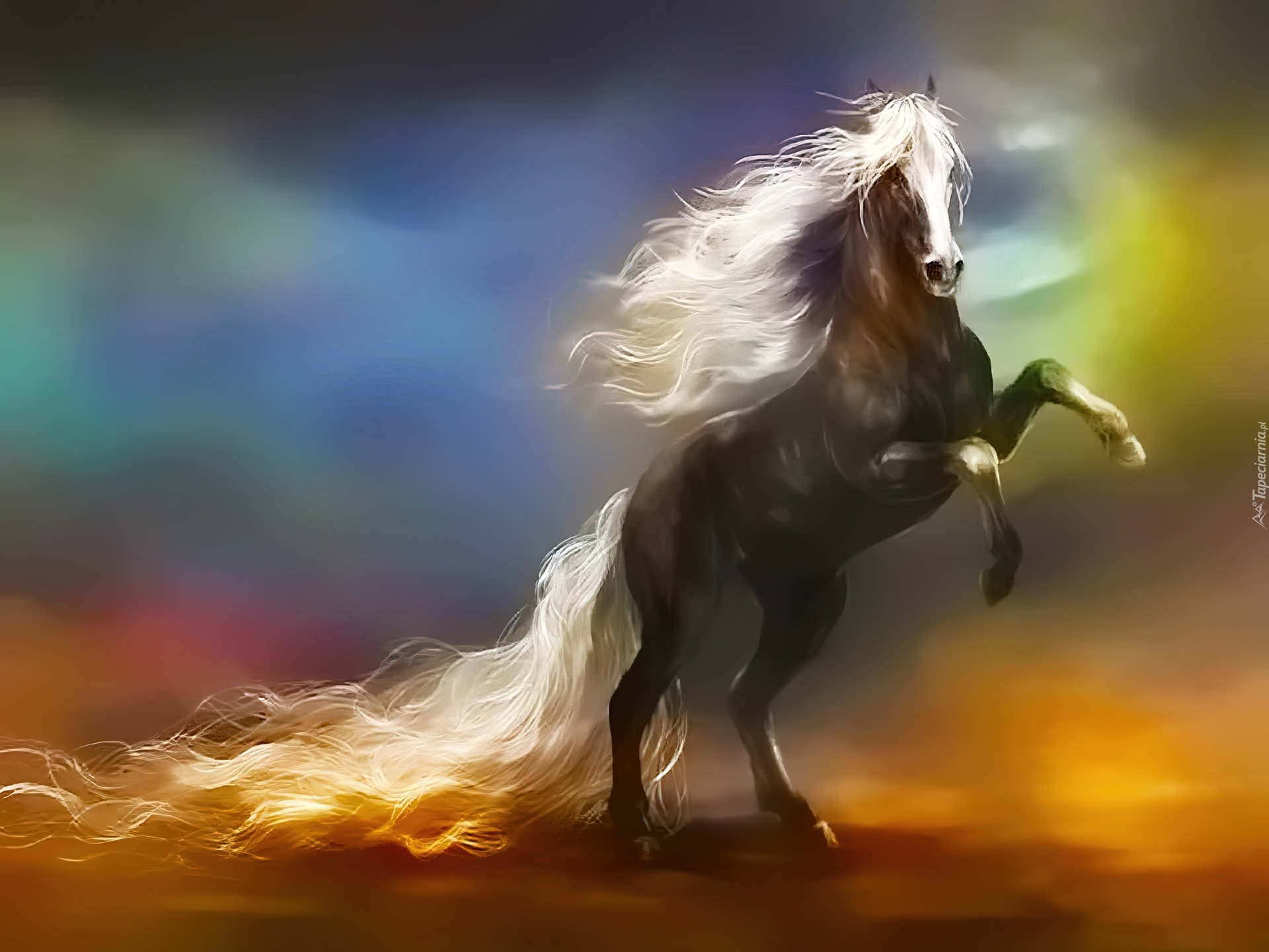 Черный конь песня. Чудо-конь. Лошади это чудо. Лошадь верная. Лошадь фото.