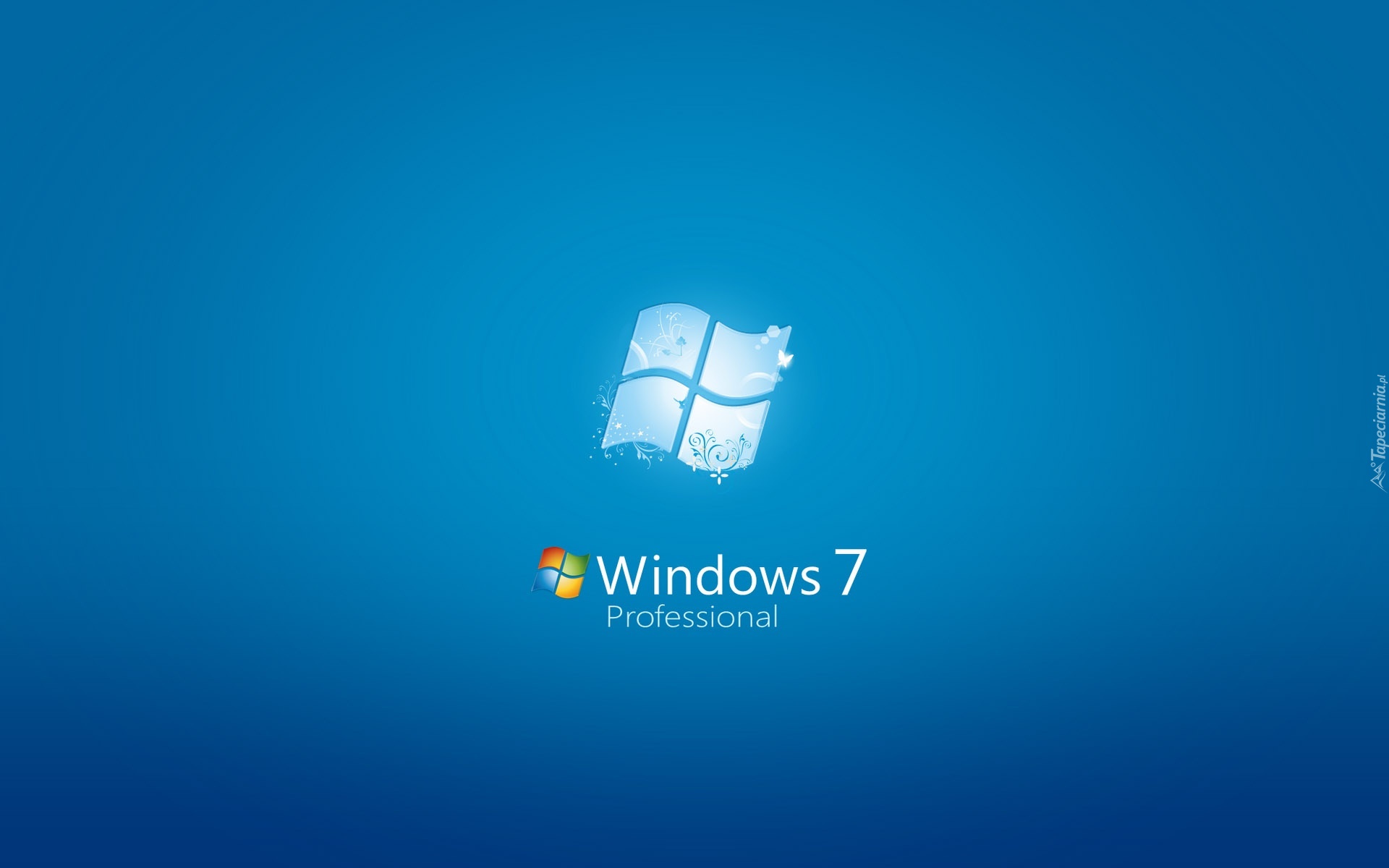 Windows 7, Professional