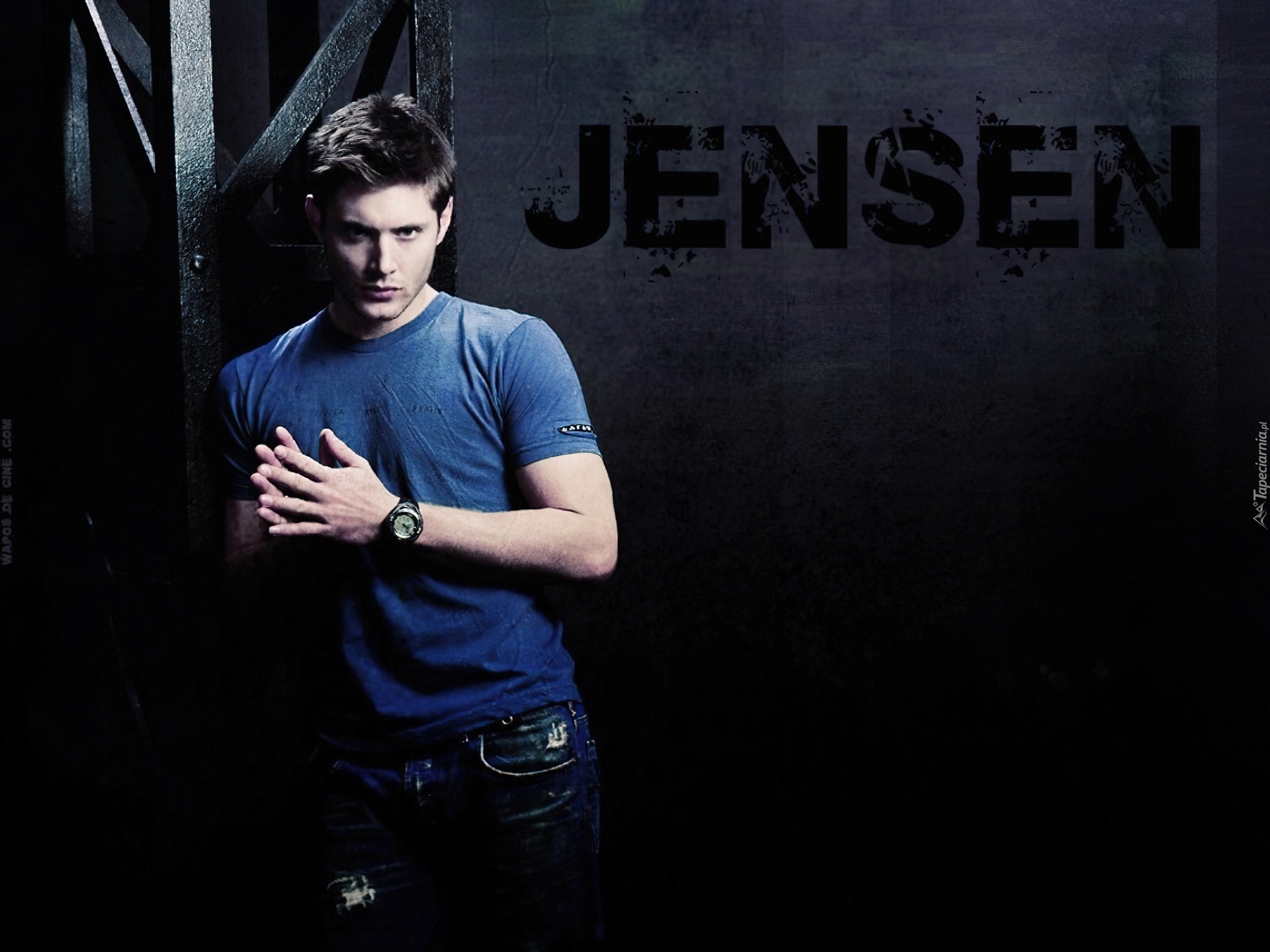 Jensen Ackles, Aktor