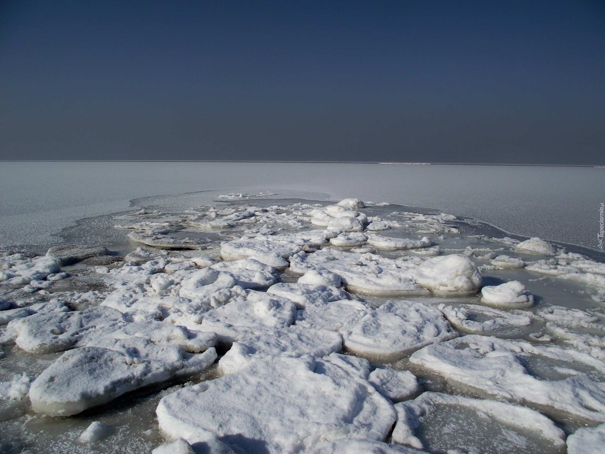 Zamarznięta, Zatoka, Gdańska