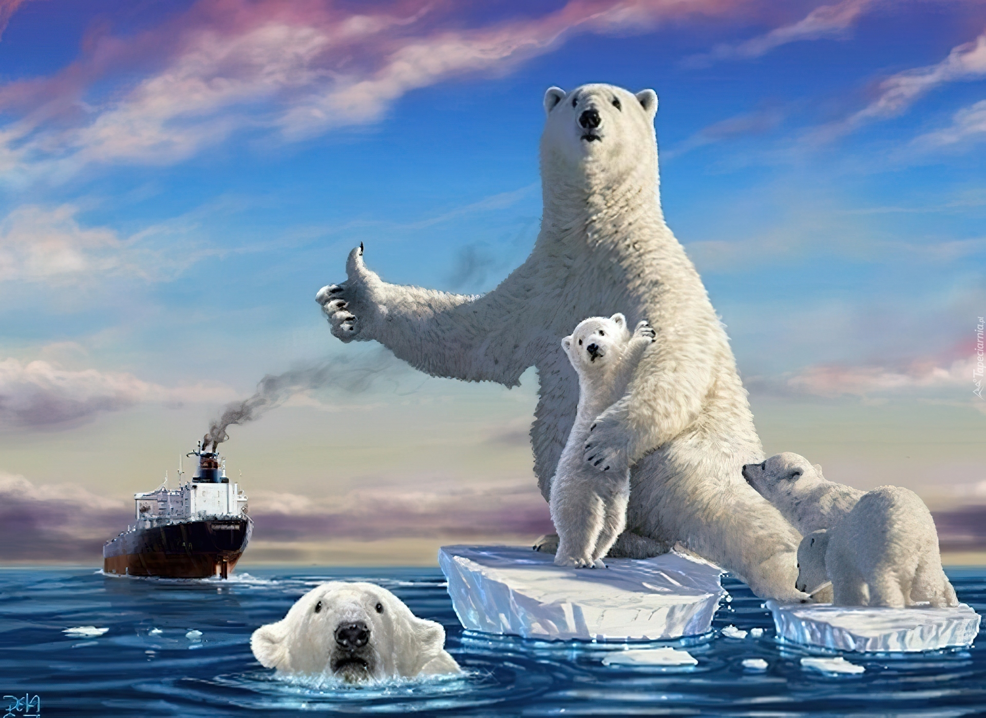Niedźwiedź, Polarny, Kra