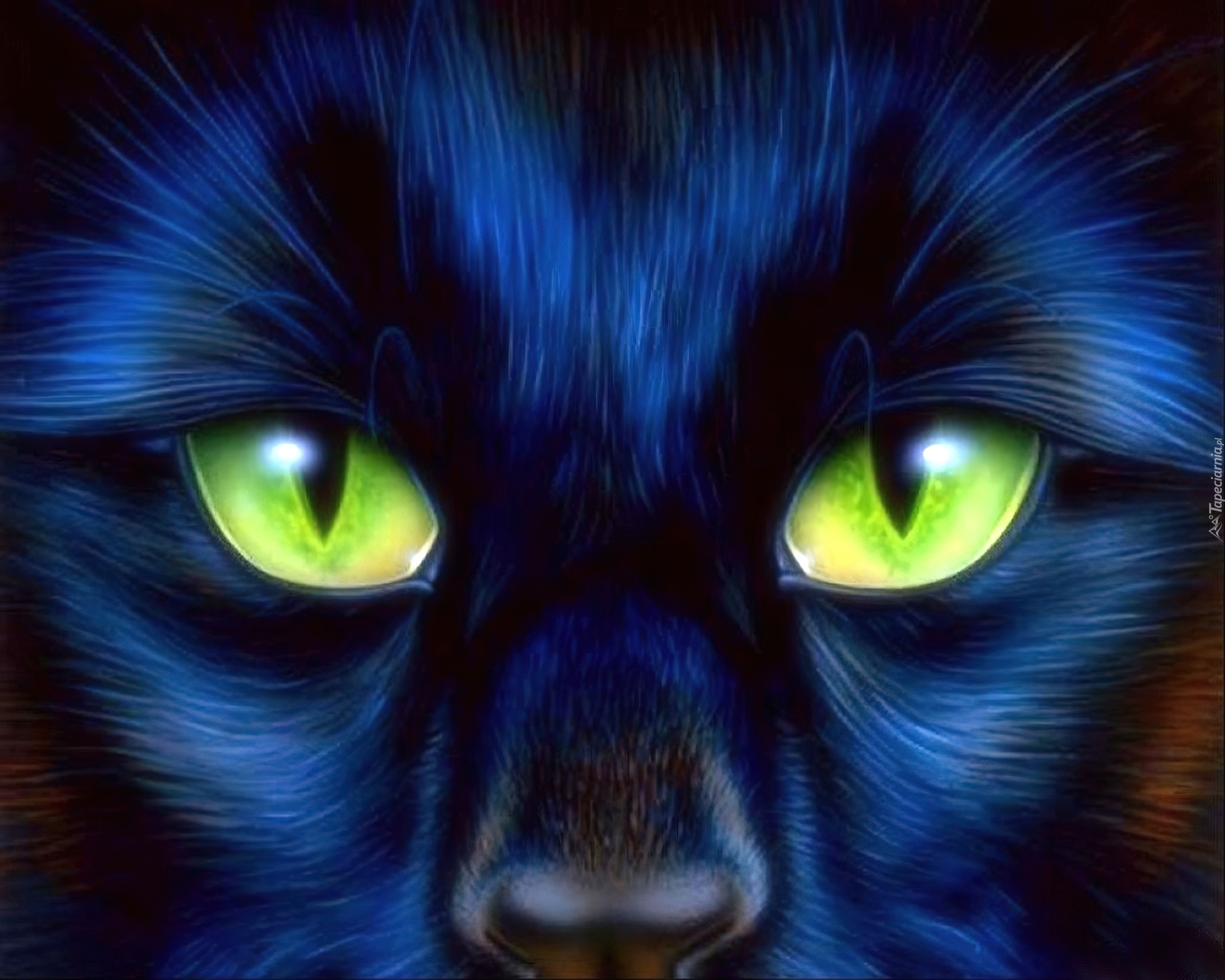 Аватарки кошки. Глаза кошки. Красивые кошачьи глаза. Чёрная кошка с синими глазами. Мистические кошки.