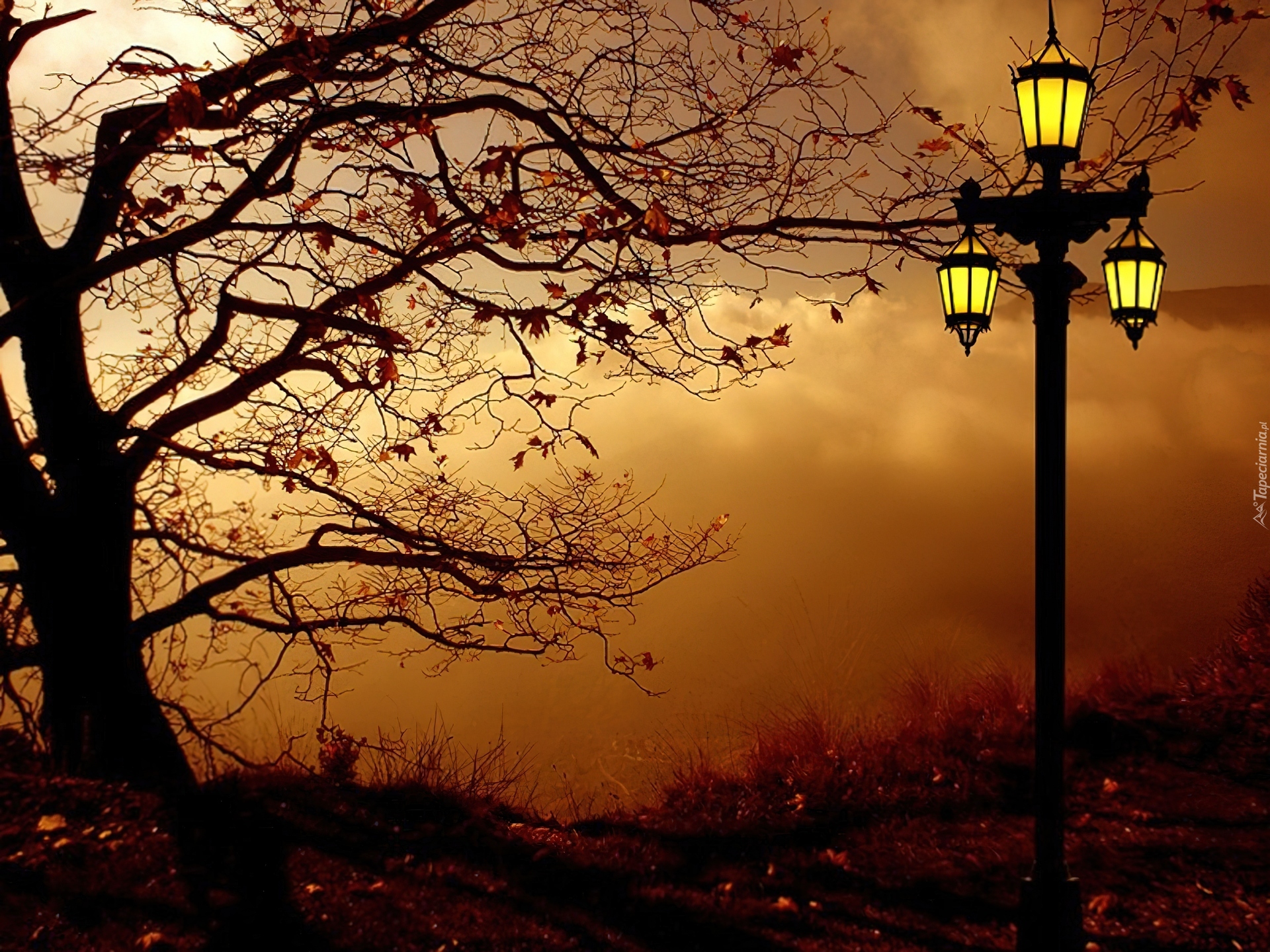 Jesień, Drzewo, Lampa