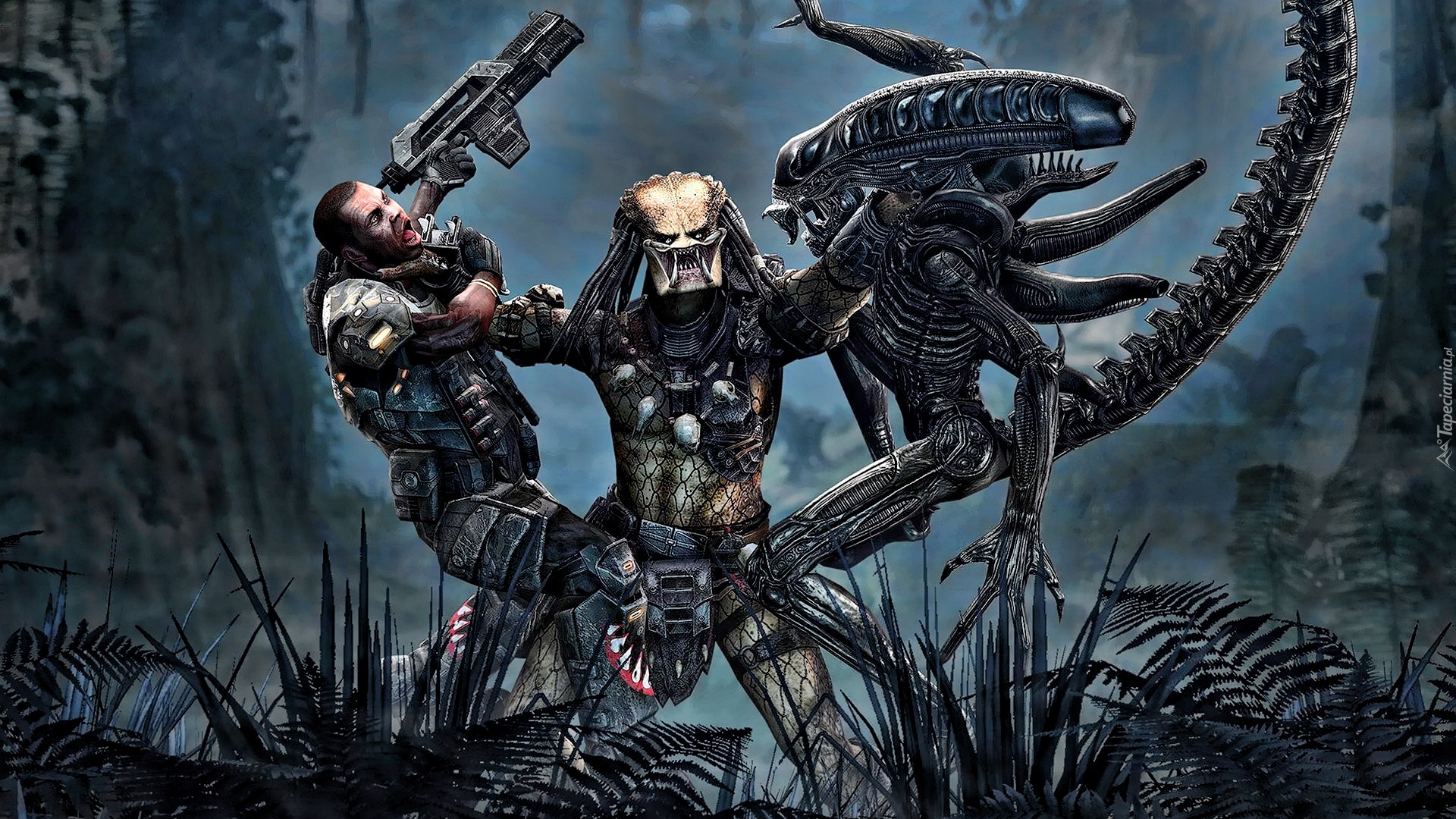 Aliens Vs Predator, Gra