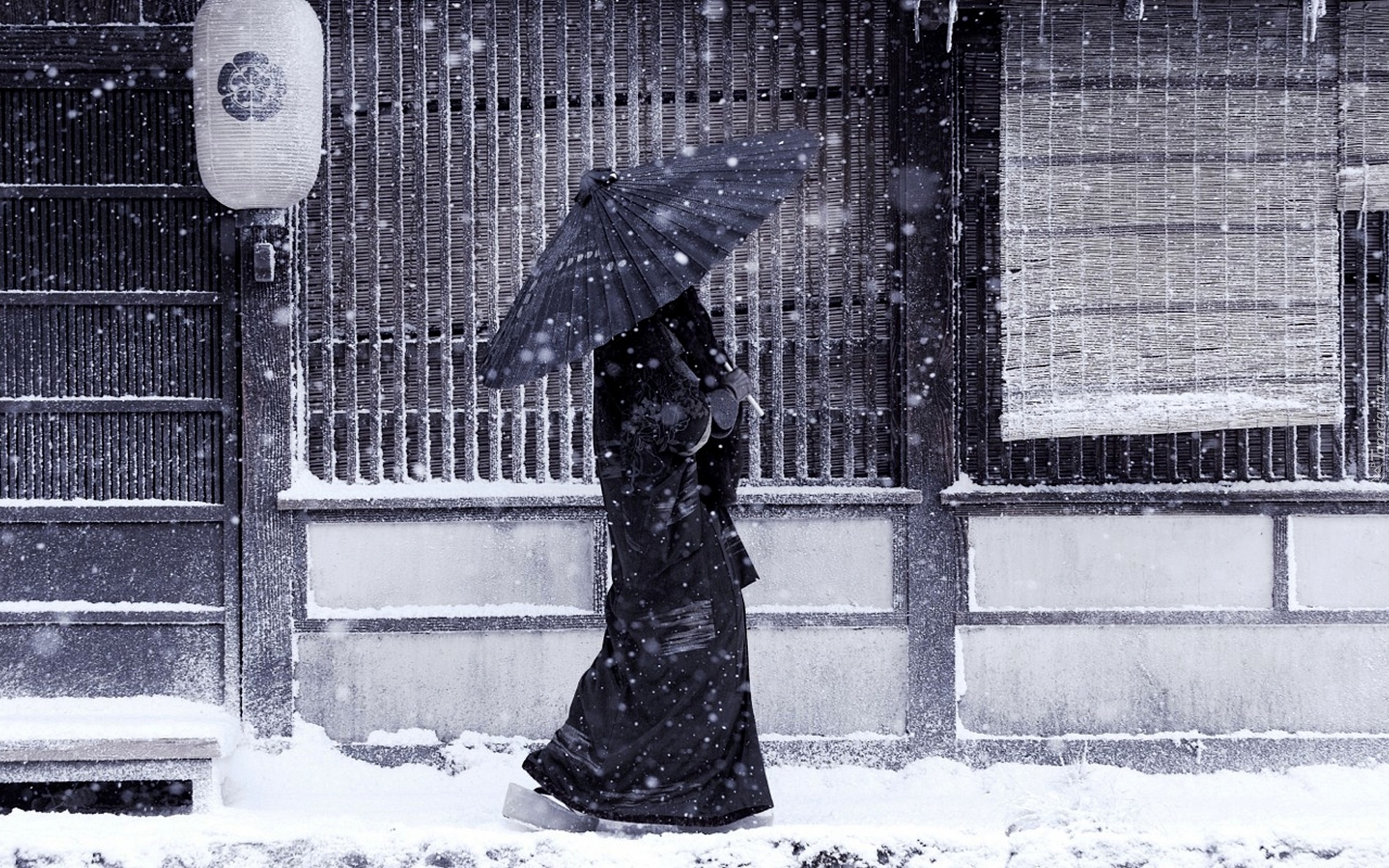 Japonka, Parasol, Śnieg