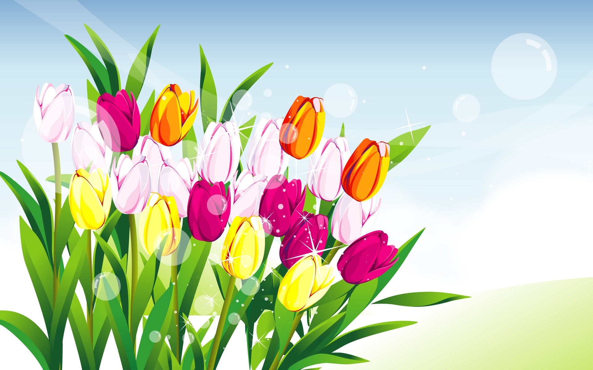 Kolorowe, Tulipany, Grafika 2D
