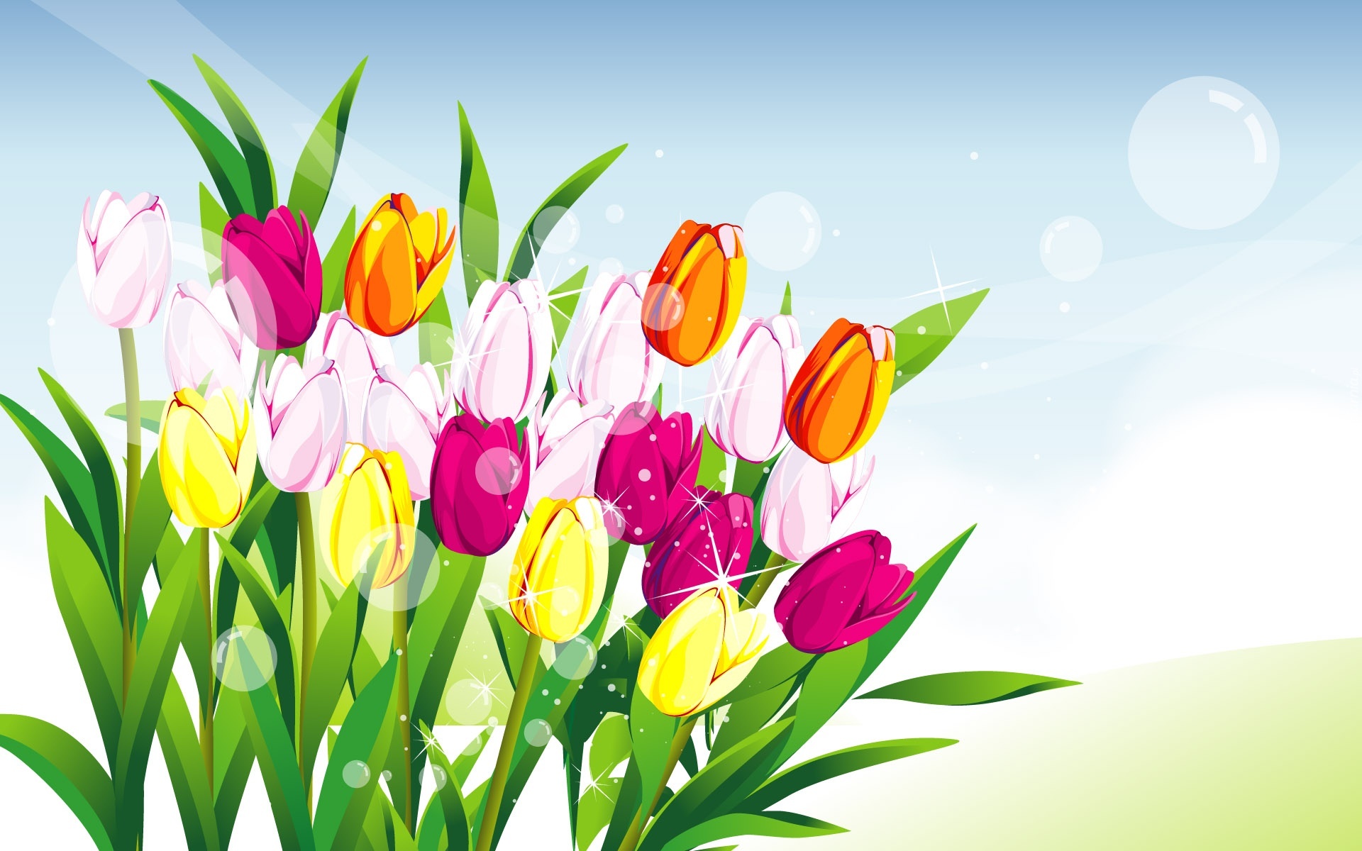 Kolorowe, Tulipany, Grafika 2D