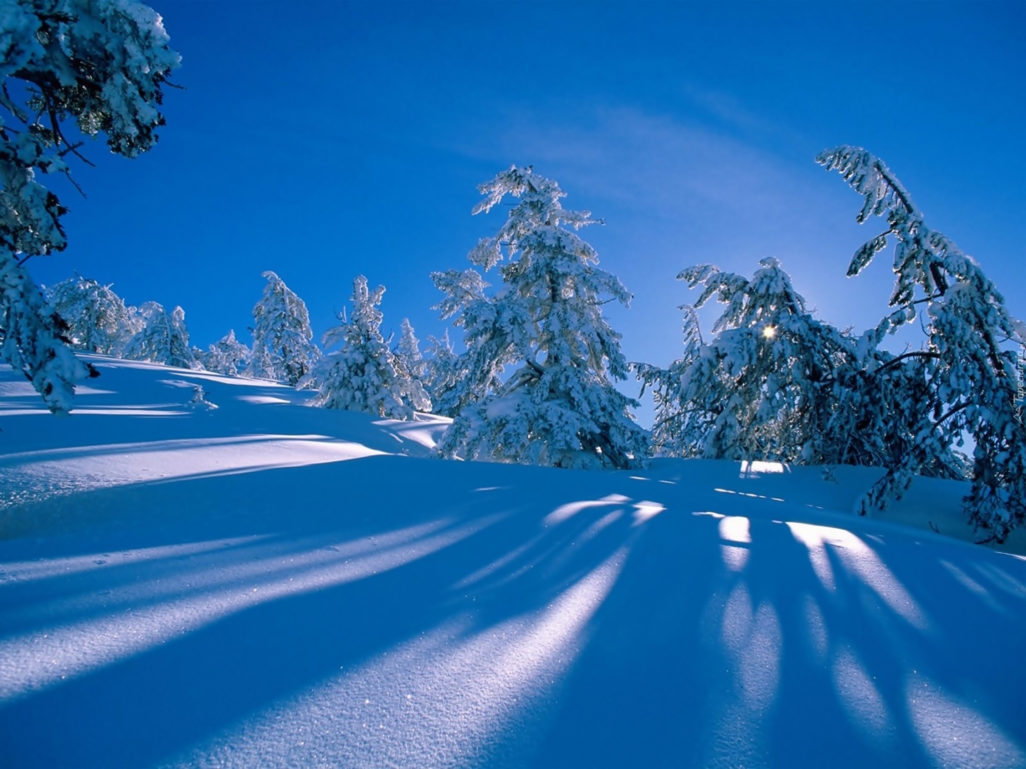 Бывает зимняя бывает летняя. Снежная зима. Зимний пейзаж. Зимняя природа. Красивая зима.