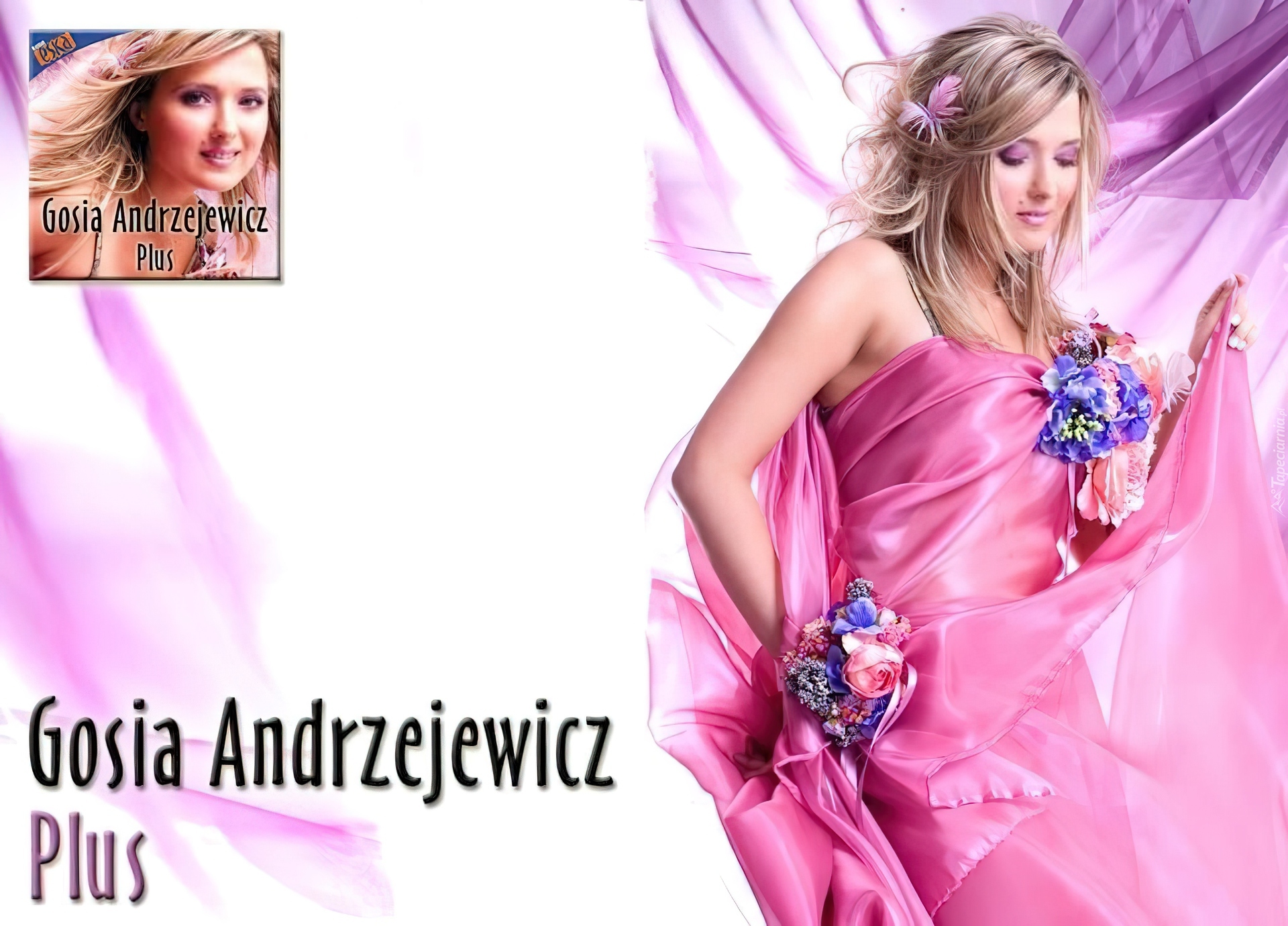 Gosia Andrzejewicz, Płyta