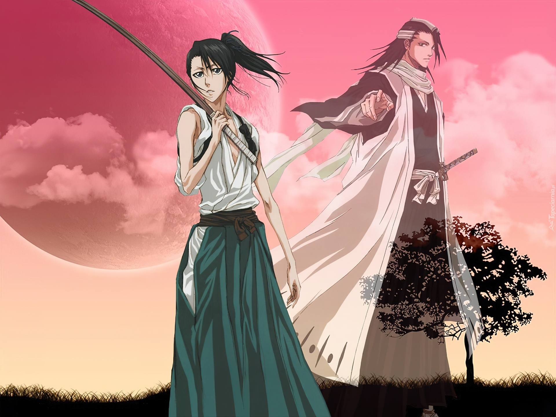 Kuchiki, Byakuya, Kapitan