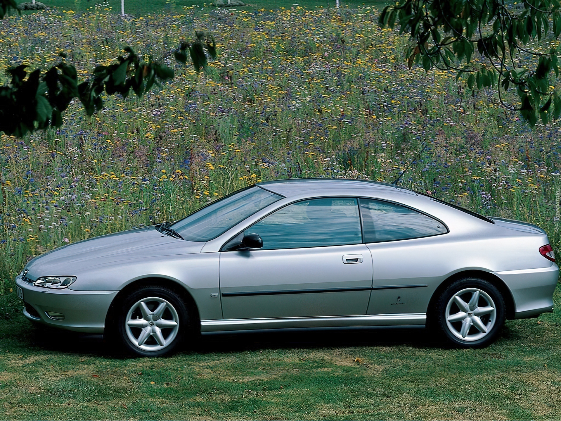 Peugeot 406, Coupe