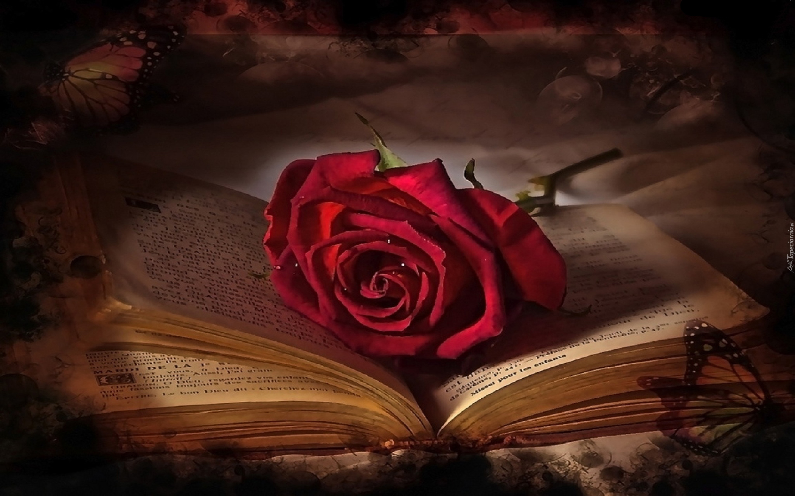 Róża, Otwarta, Książka