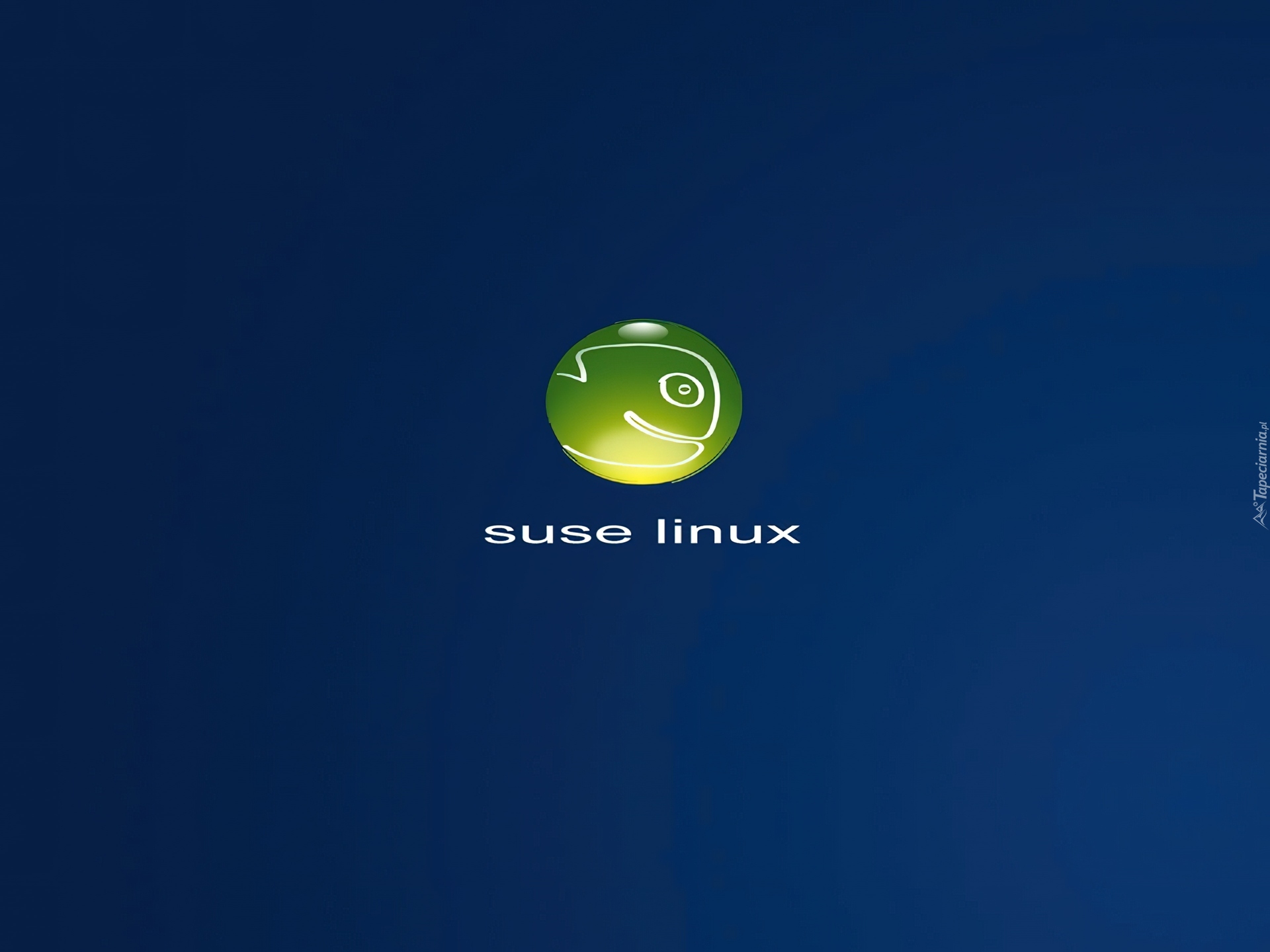Logo, Suse, Linux, Niebieskie, Tło