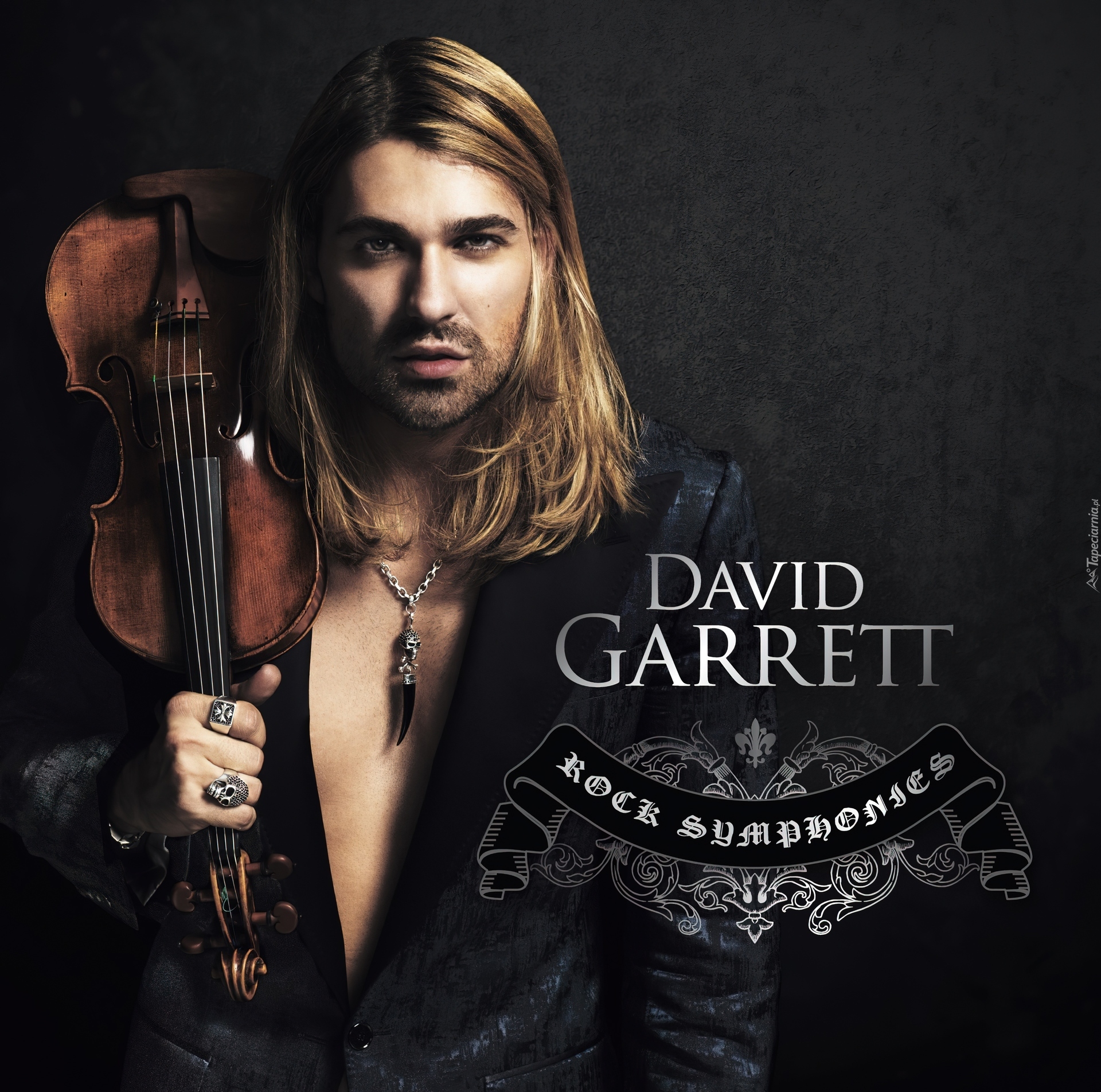 David Garrett, Skrzypce, Muzyk