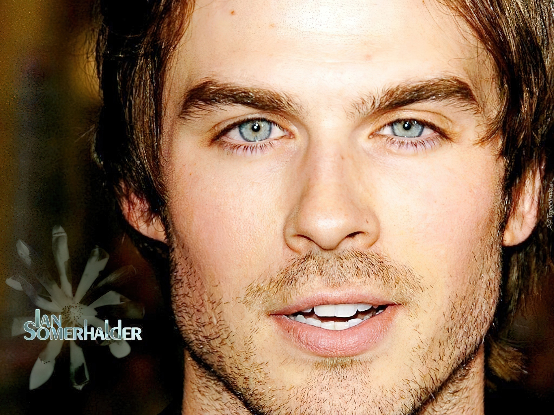 Ian Somerhalder