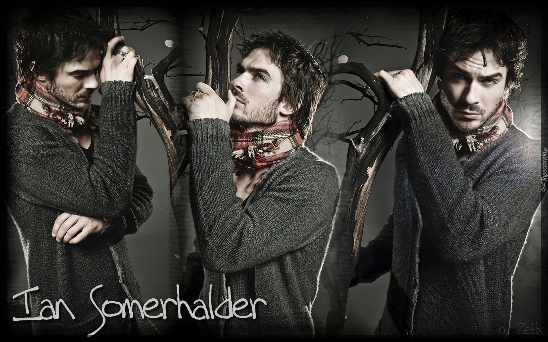 Ian Somerhalder, Pamiętniki wampirów, The Vampire Diaries